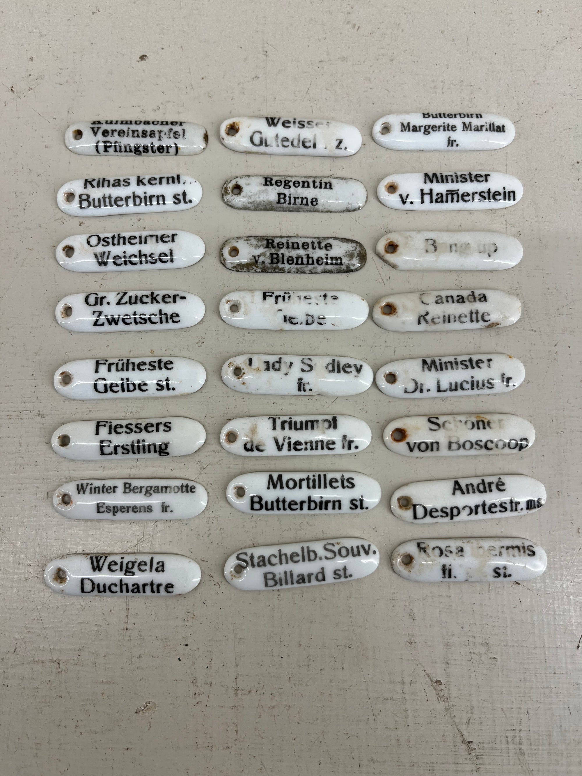 Ceramic Plant Labels