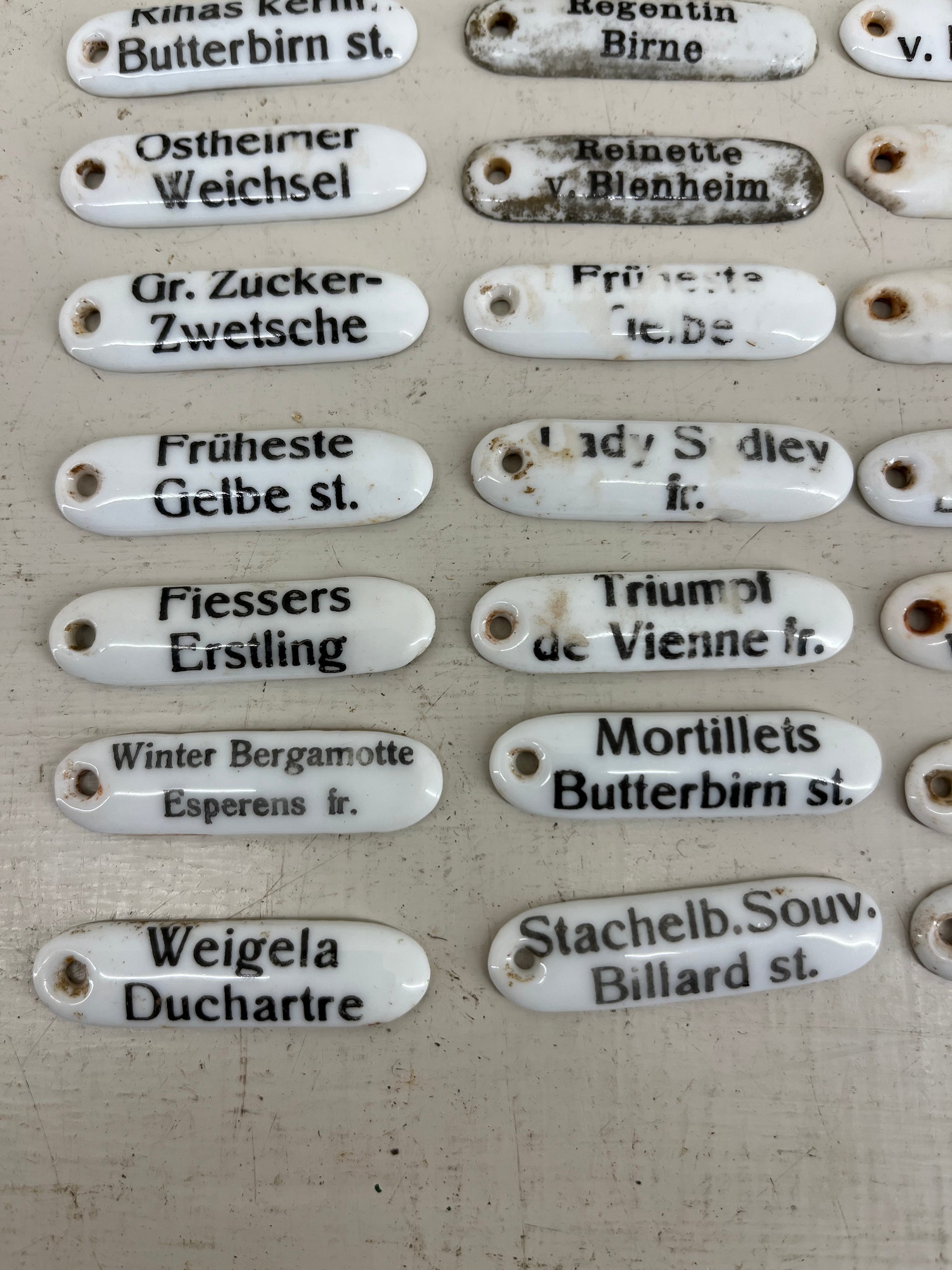 Ceramic Plant Labels
