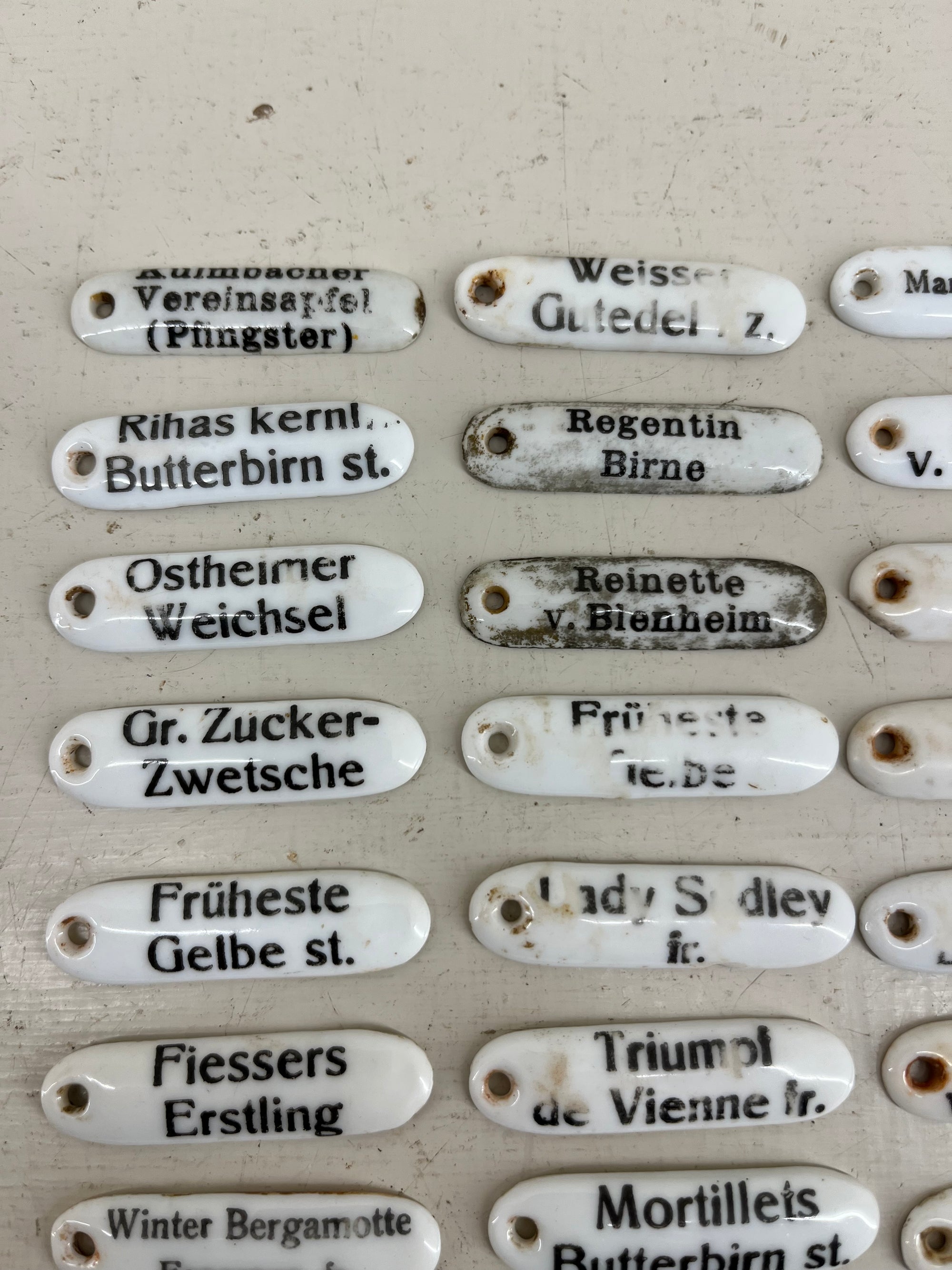 Ceramic Plant Labels