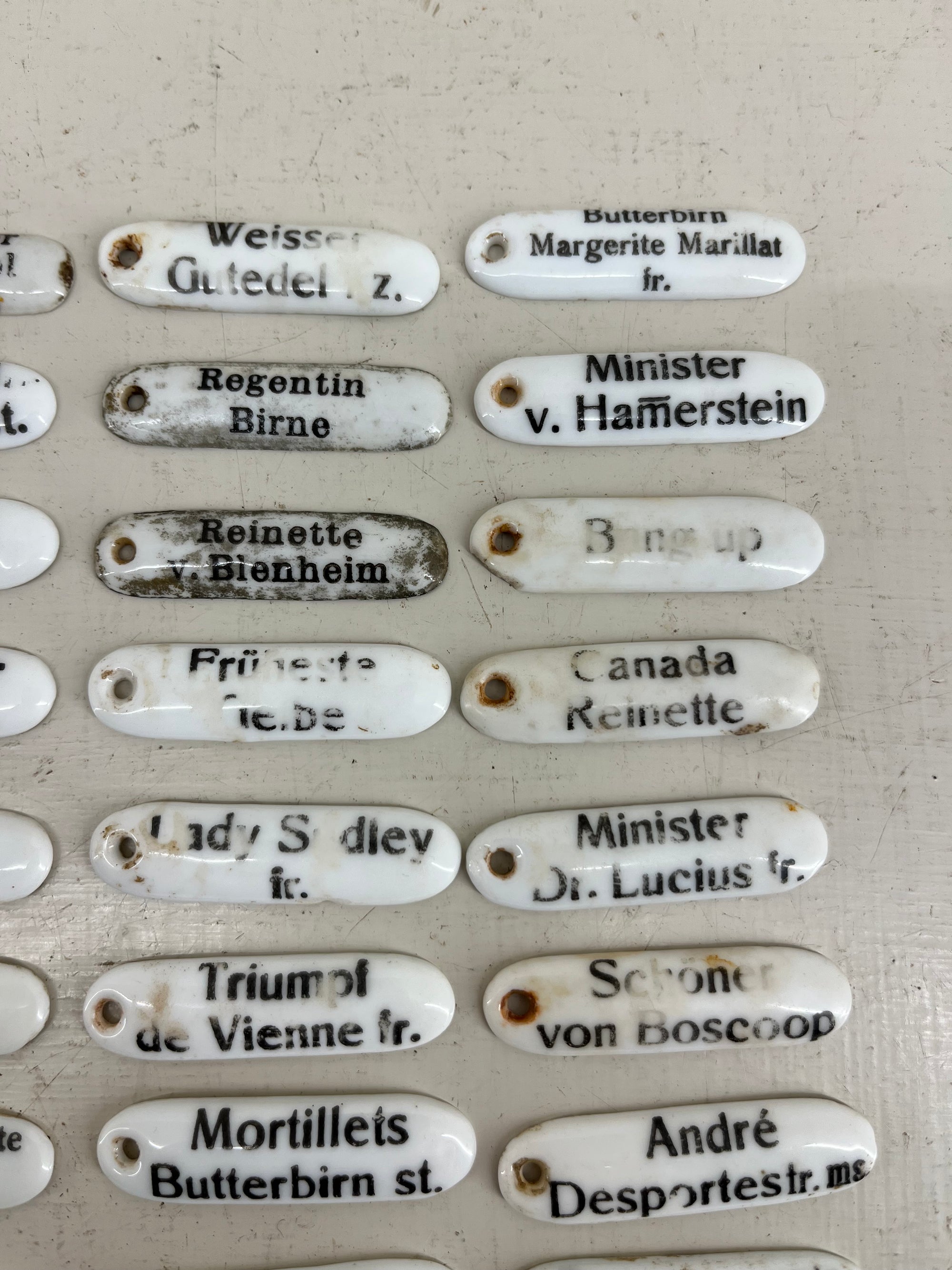 Ceramic Plant Labels