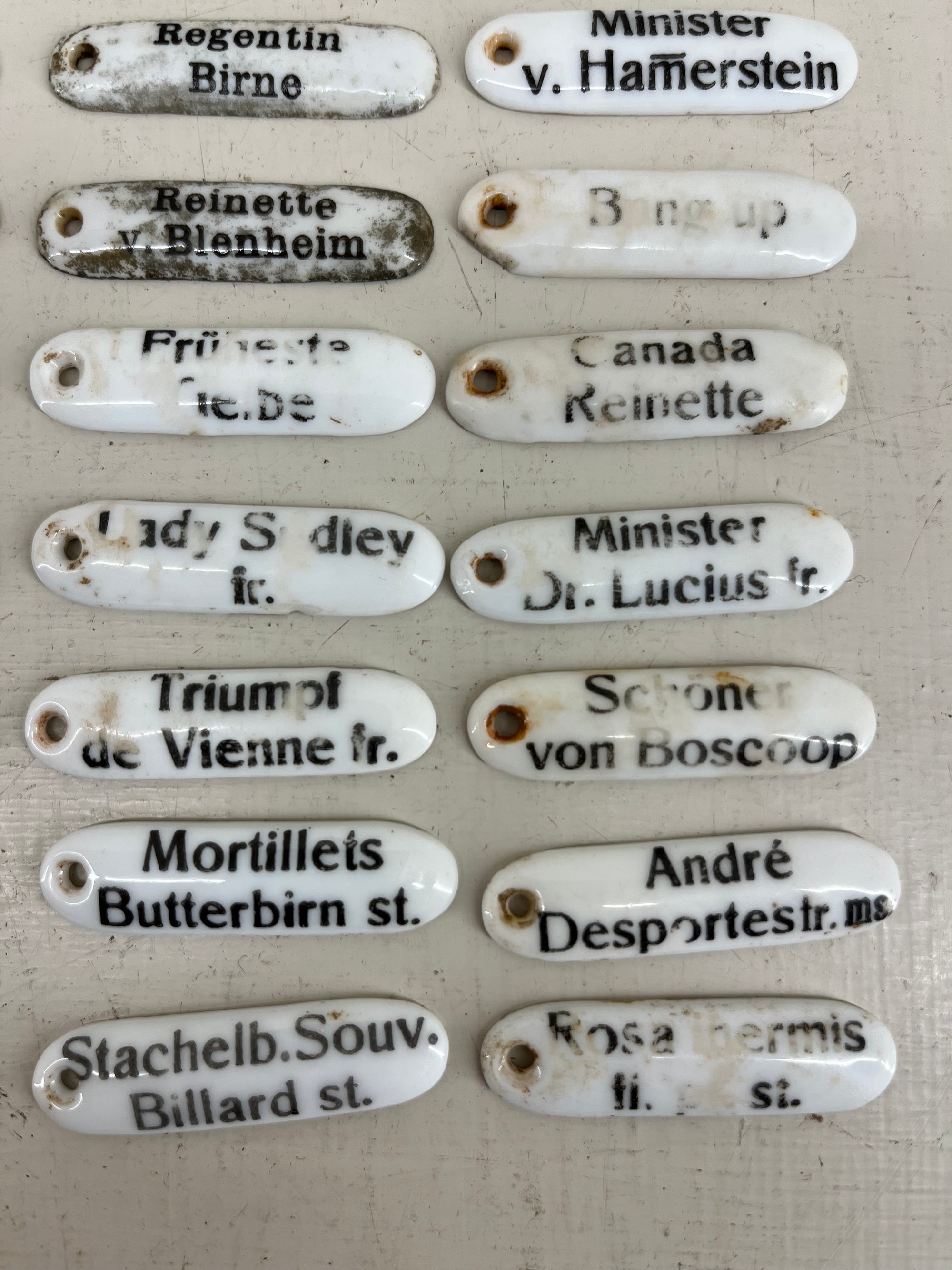 Ceramic Plant Labels