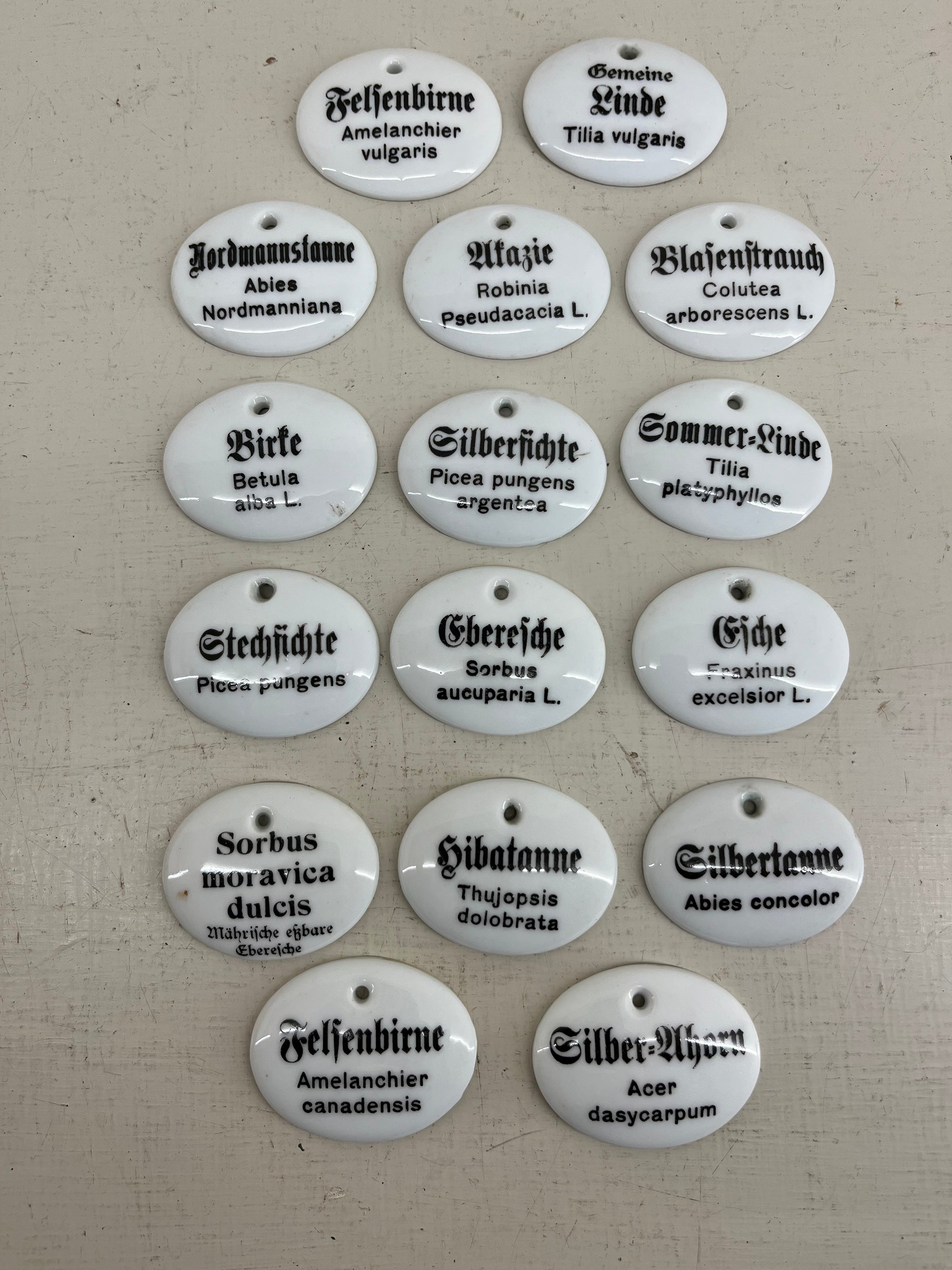 Ceramic Tree Labels