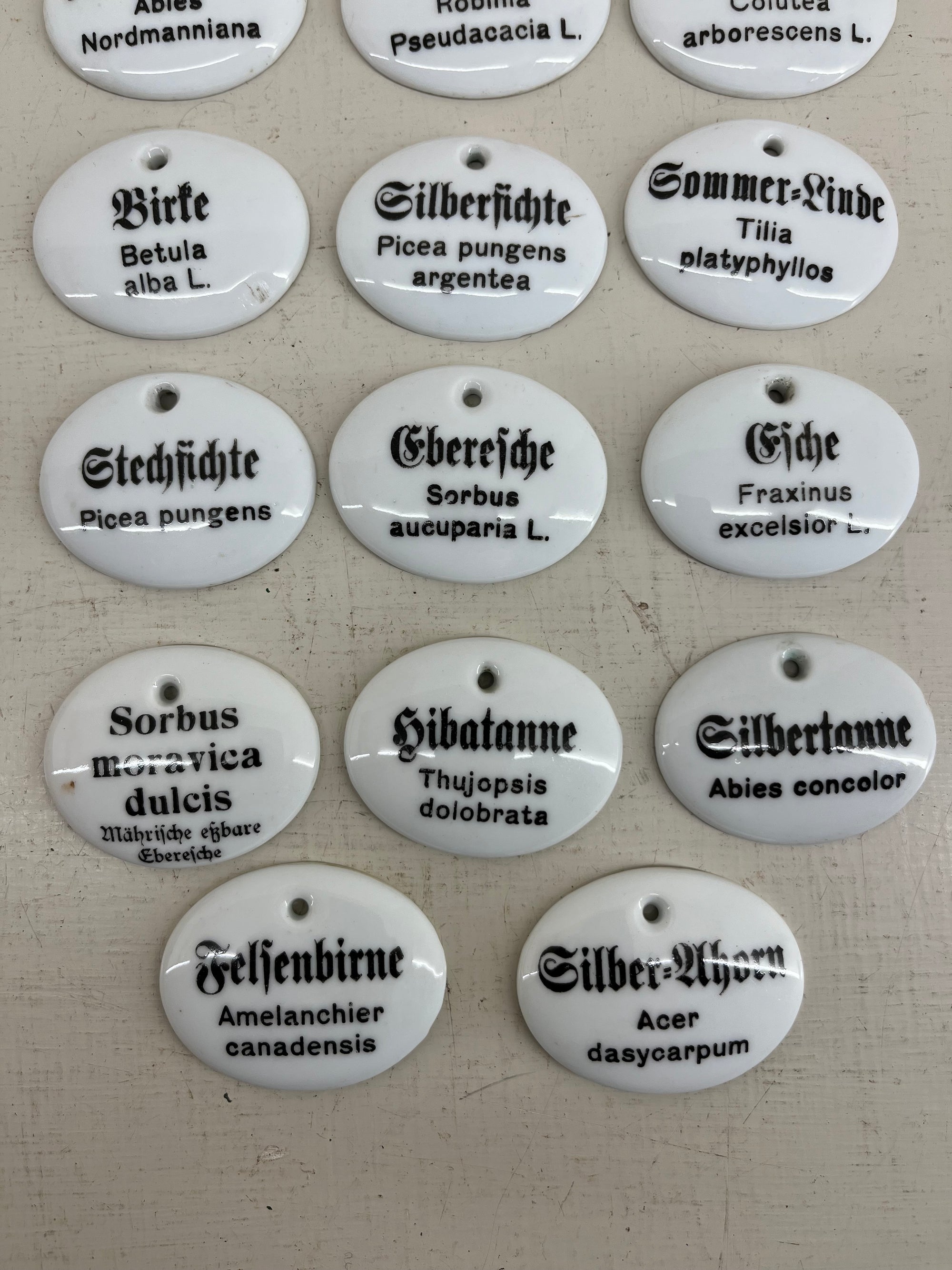 Ceramic Tree Labels