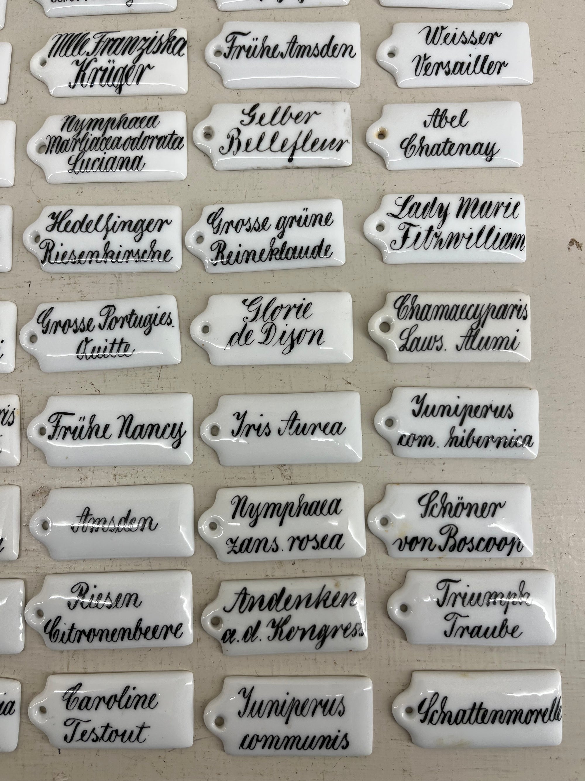 Ceramic Plant Labels