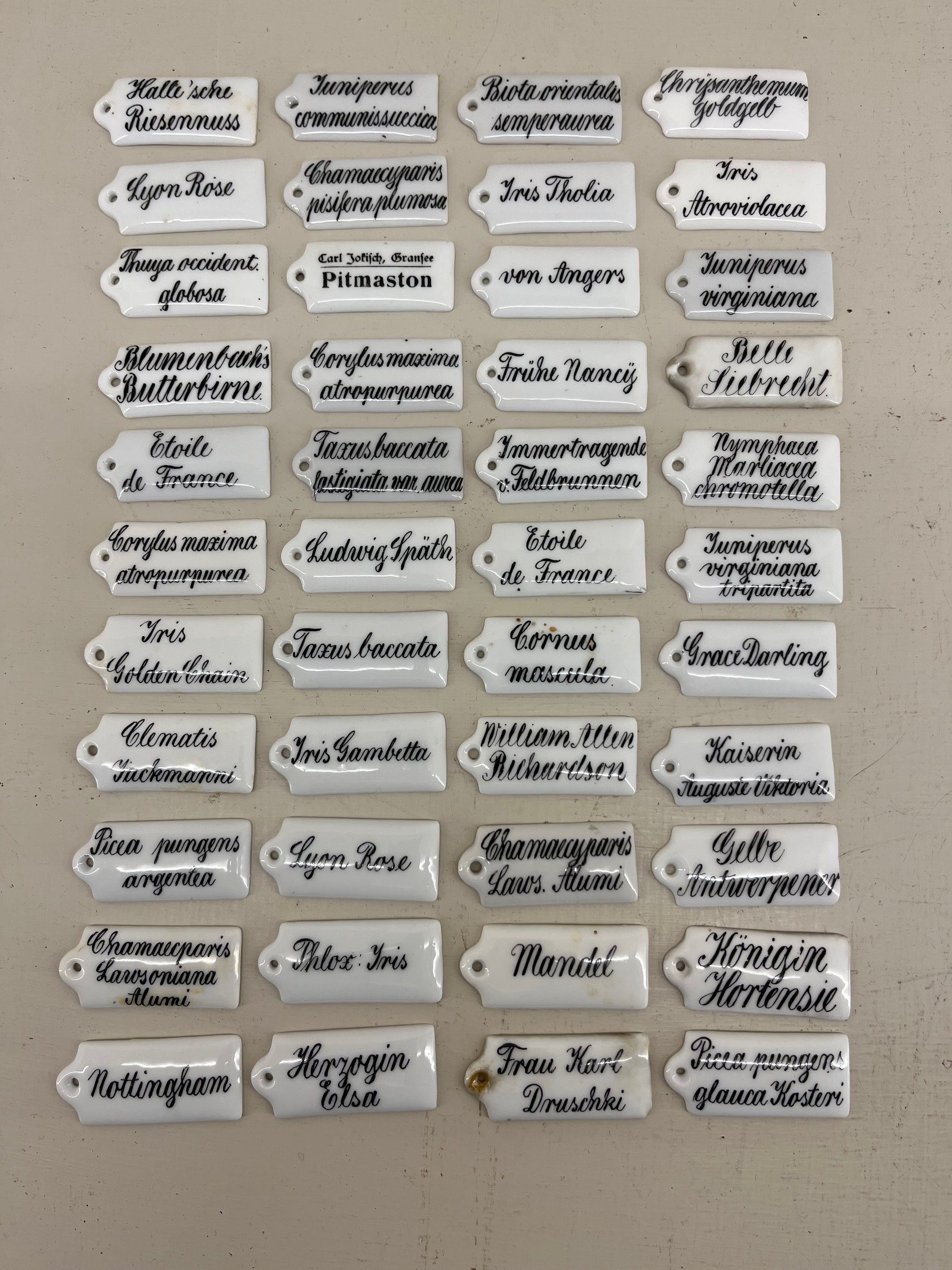 Ceramic Plant Labels