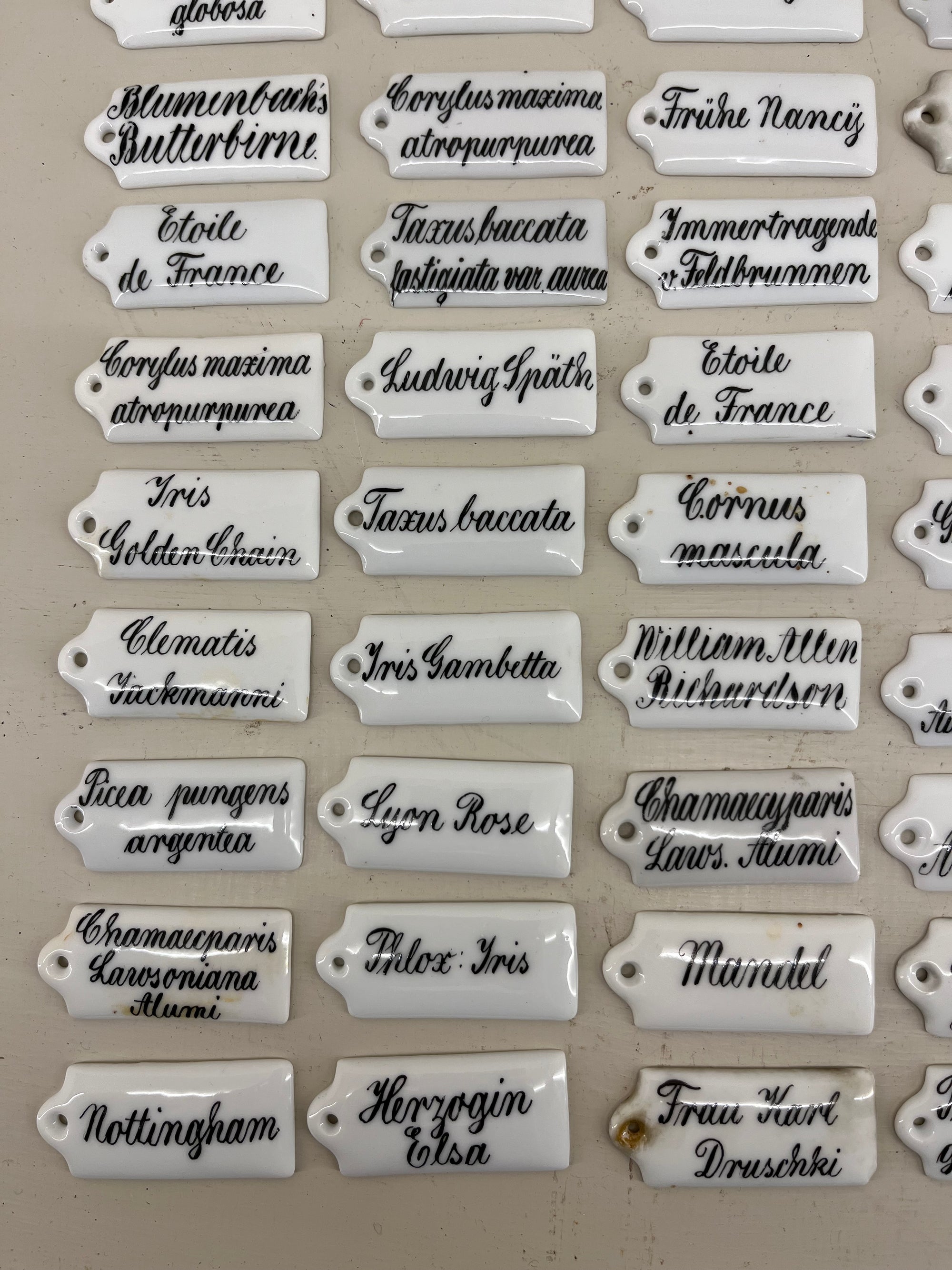 Ceramic Plant Labels