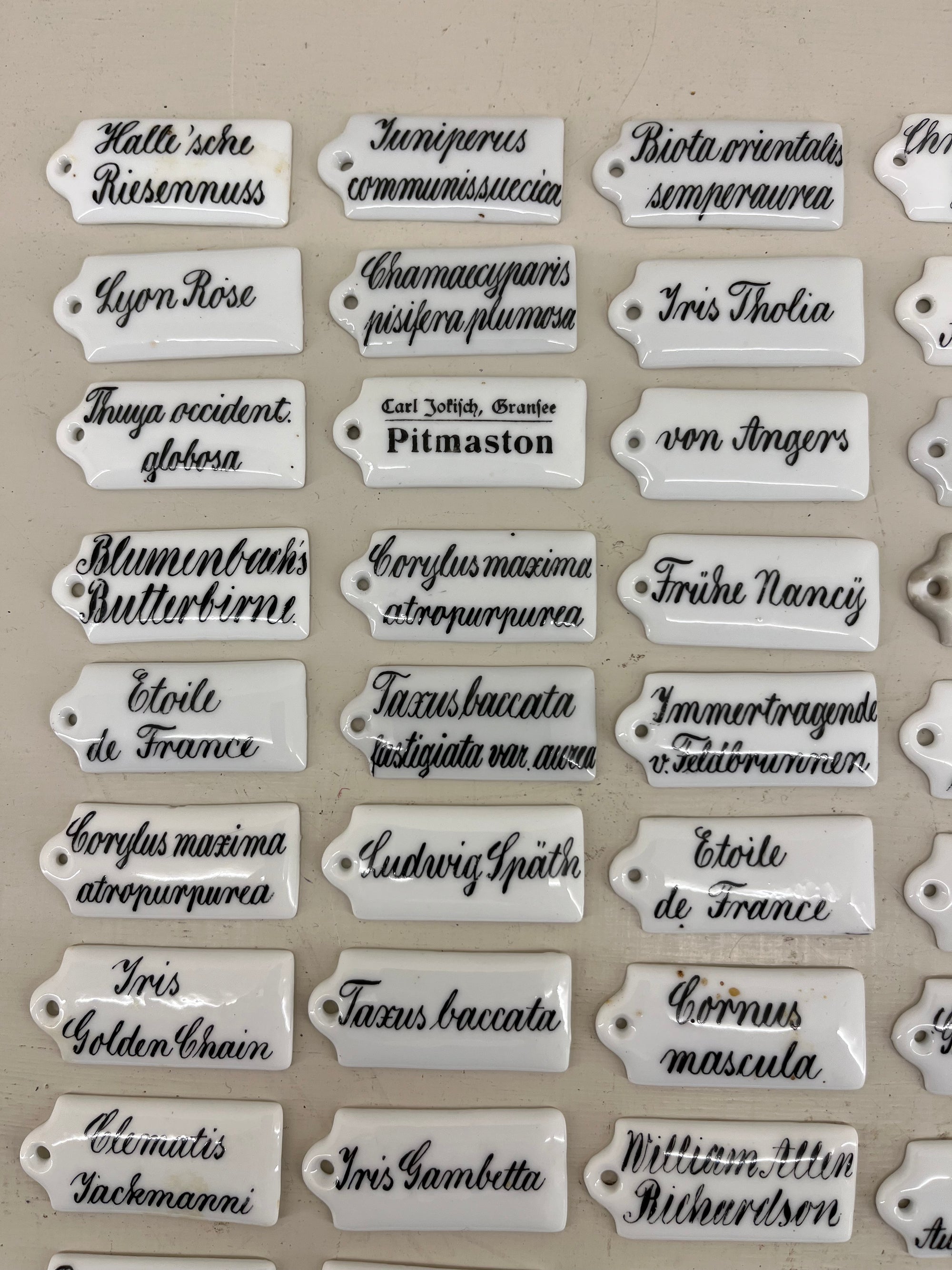 Ceramic Plant Labels