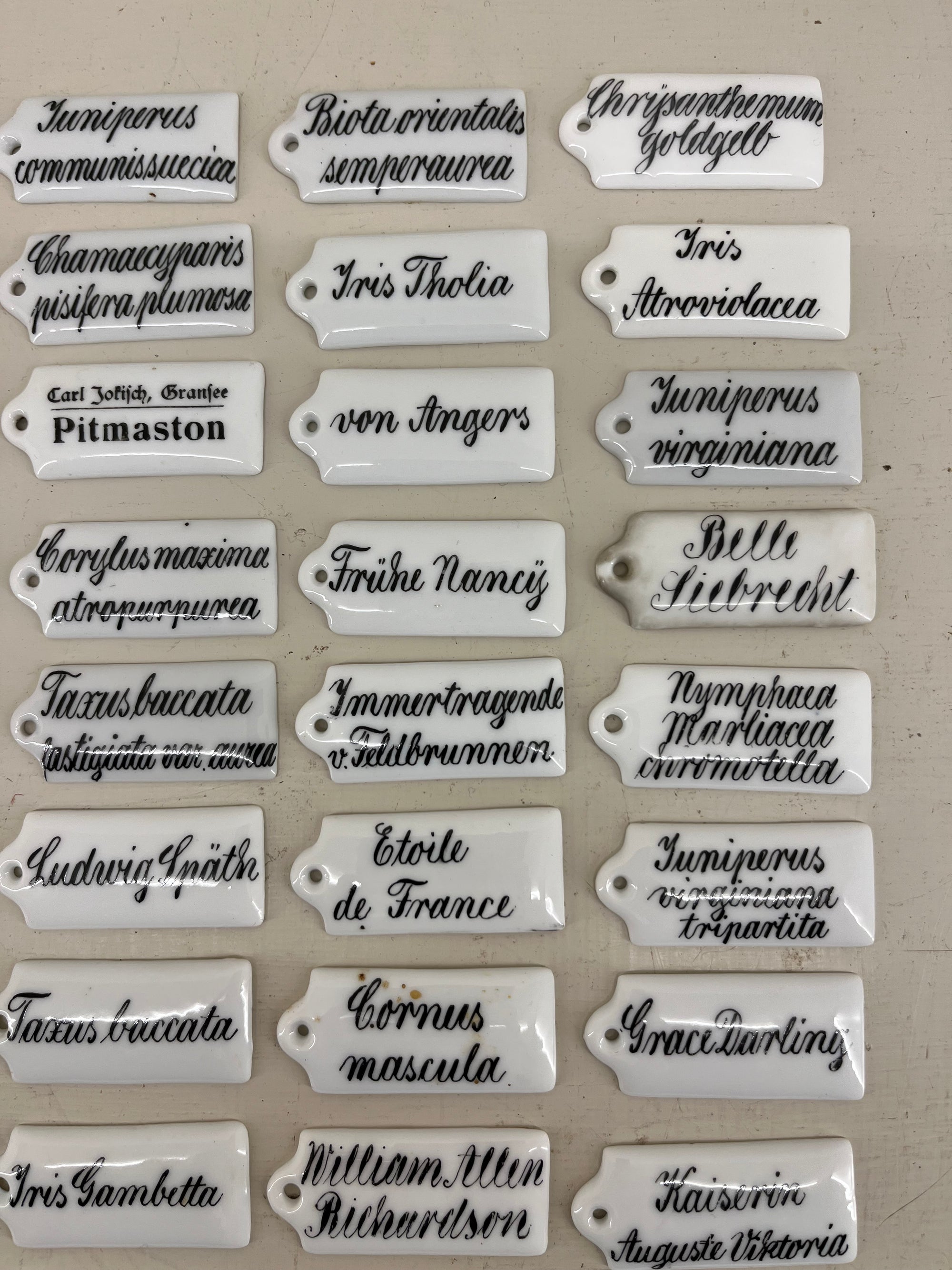 Ceramic Plant Labels