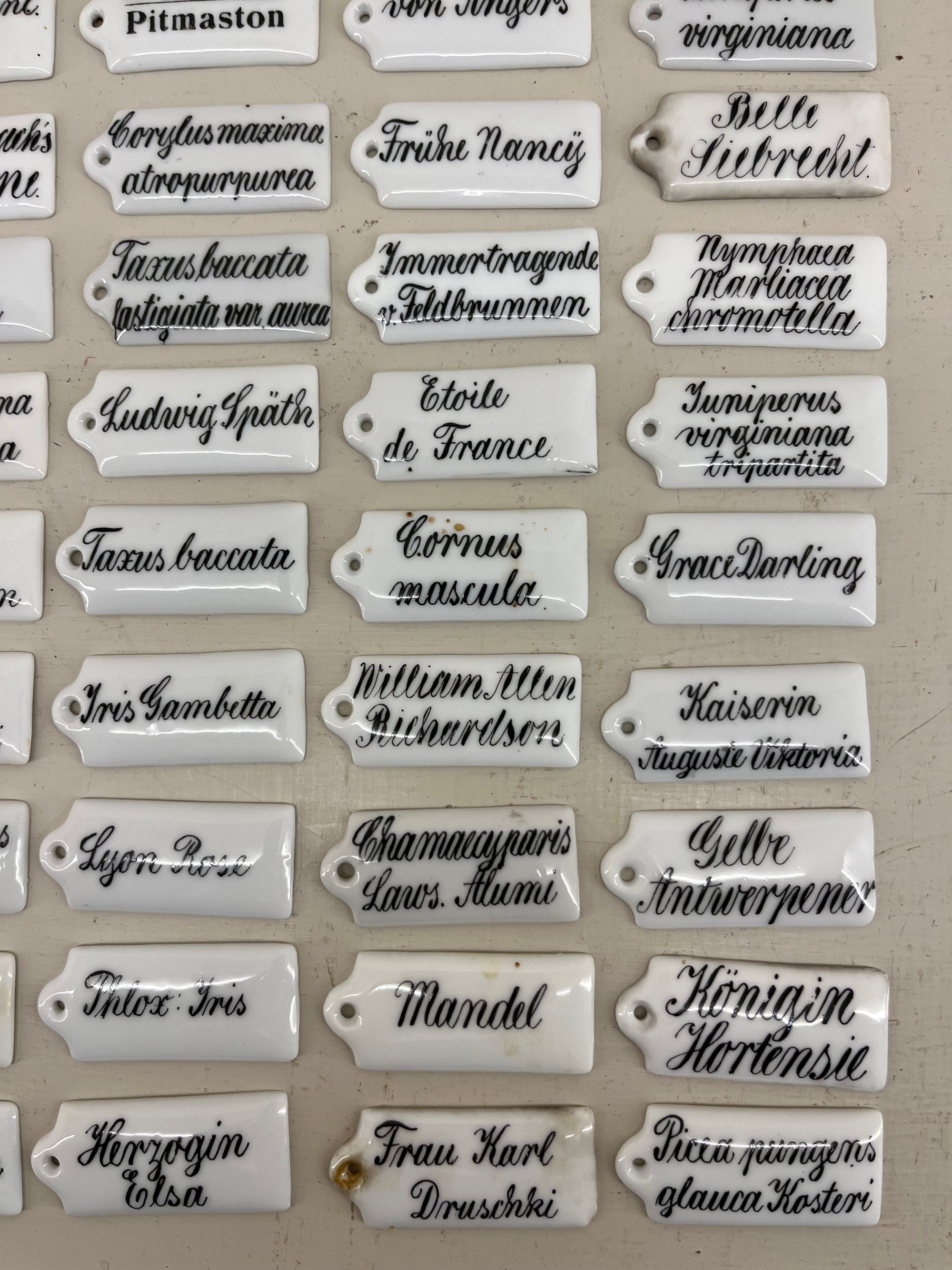 Ceramic Plant Labels