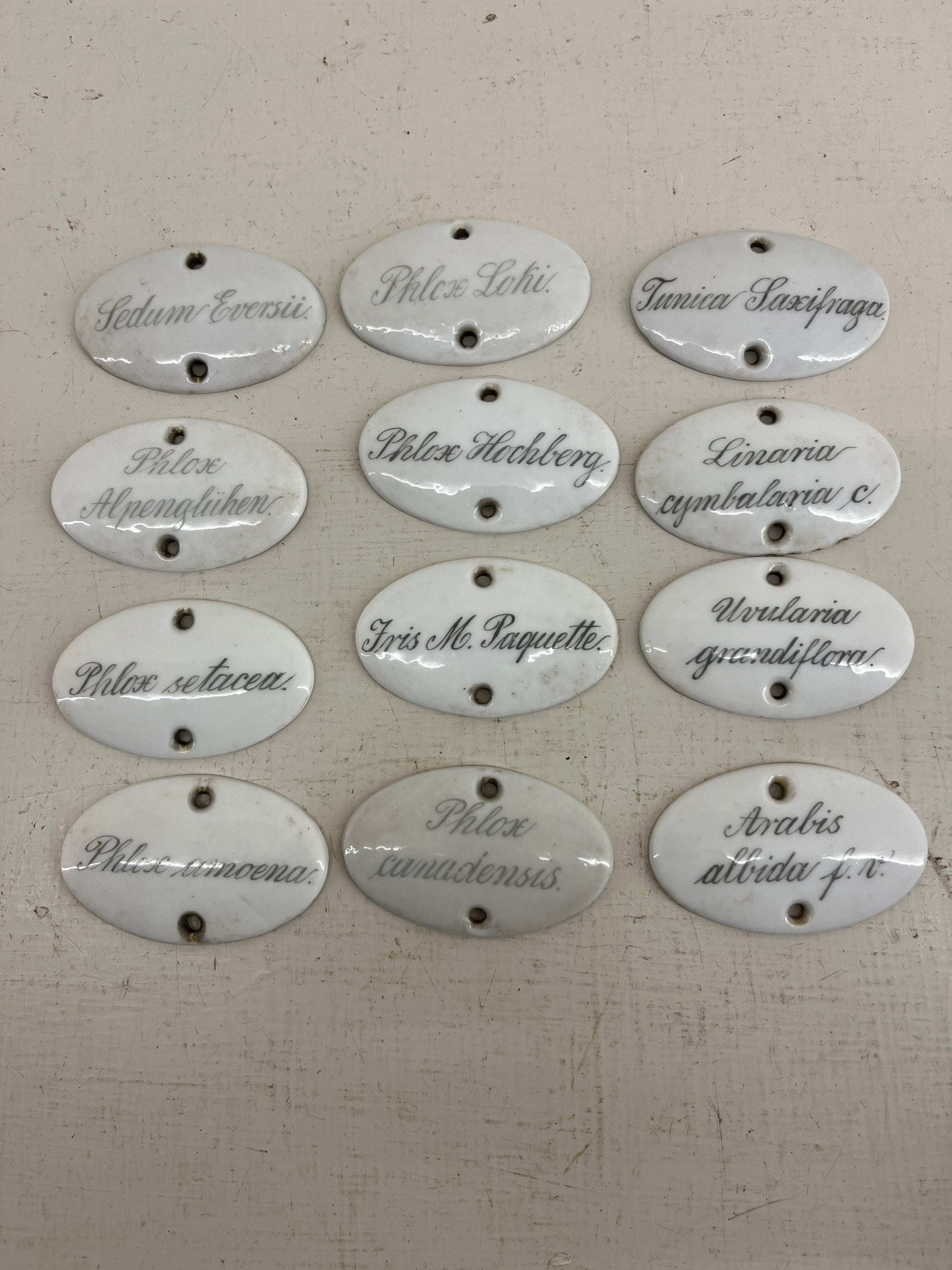 Ceramic Plant Labels