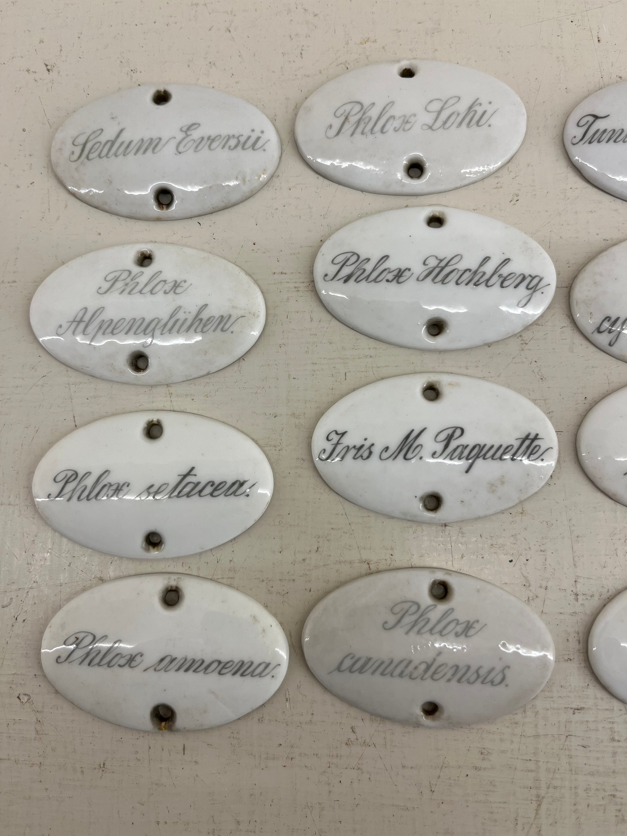 Ceramic Plant Labels