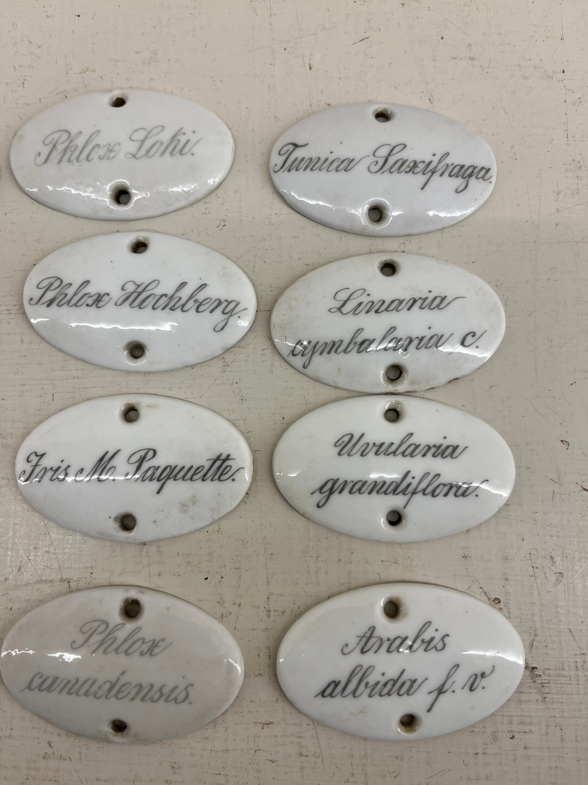 Ceramic Plant Labels