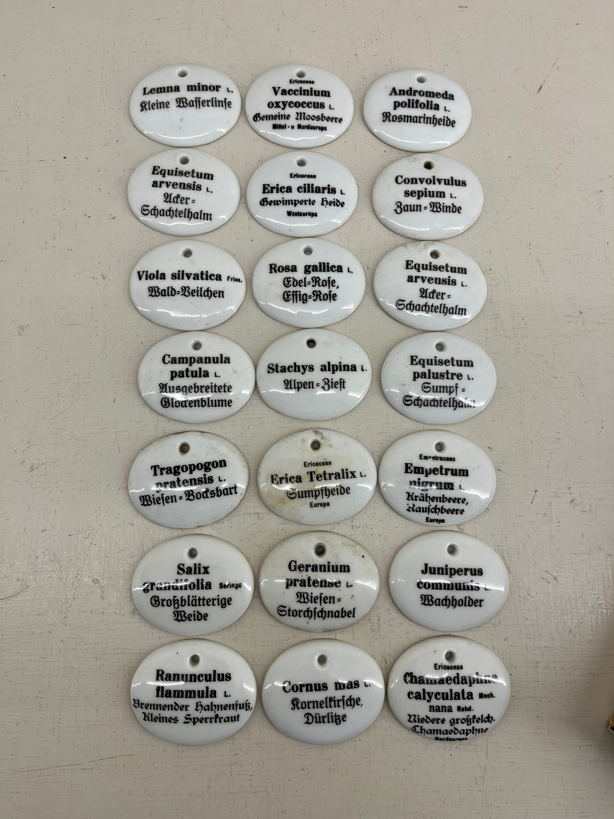 Ceramic Plant Labels