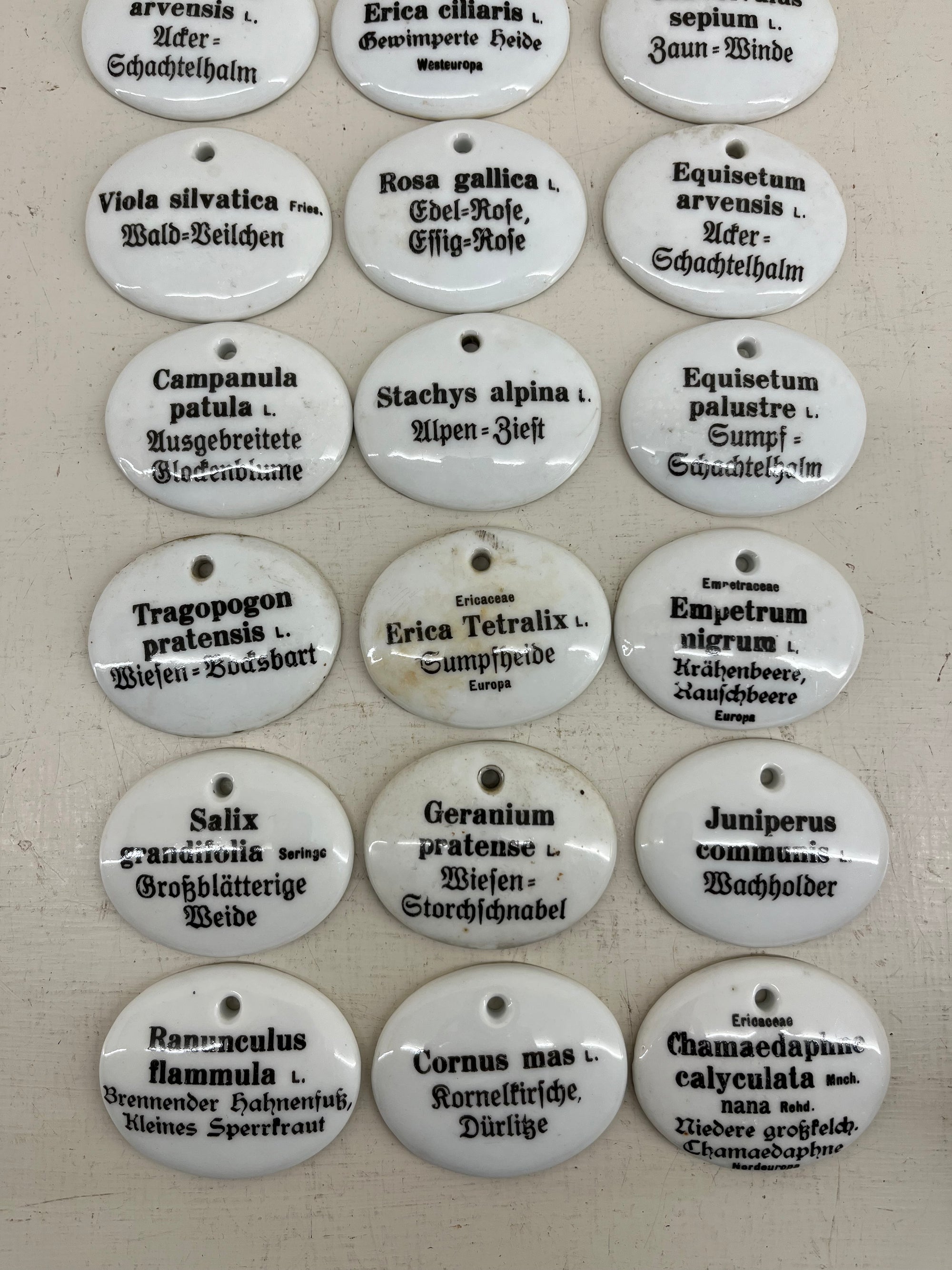 Ceramic Plant Labels
