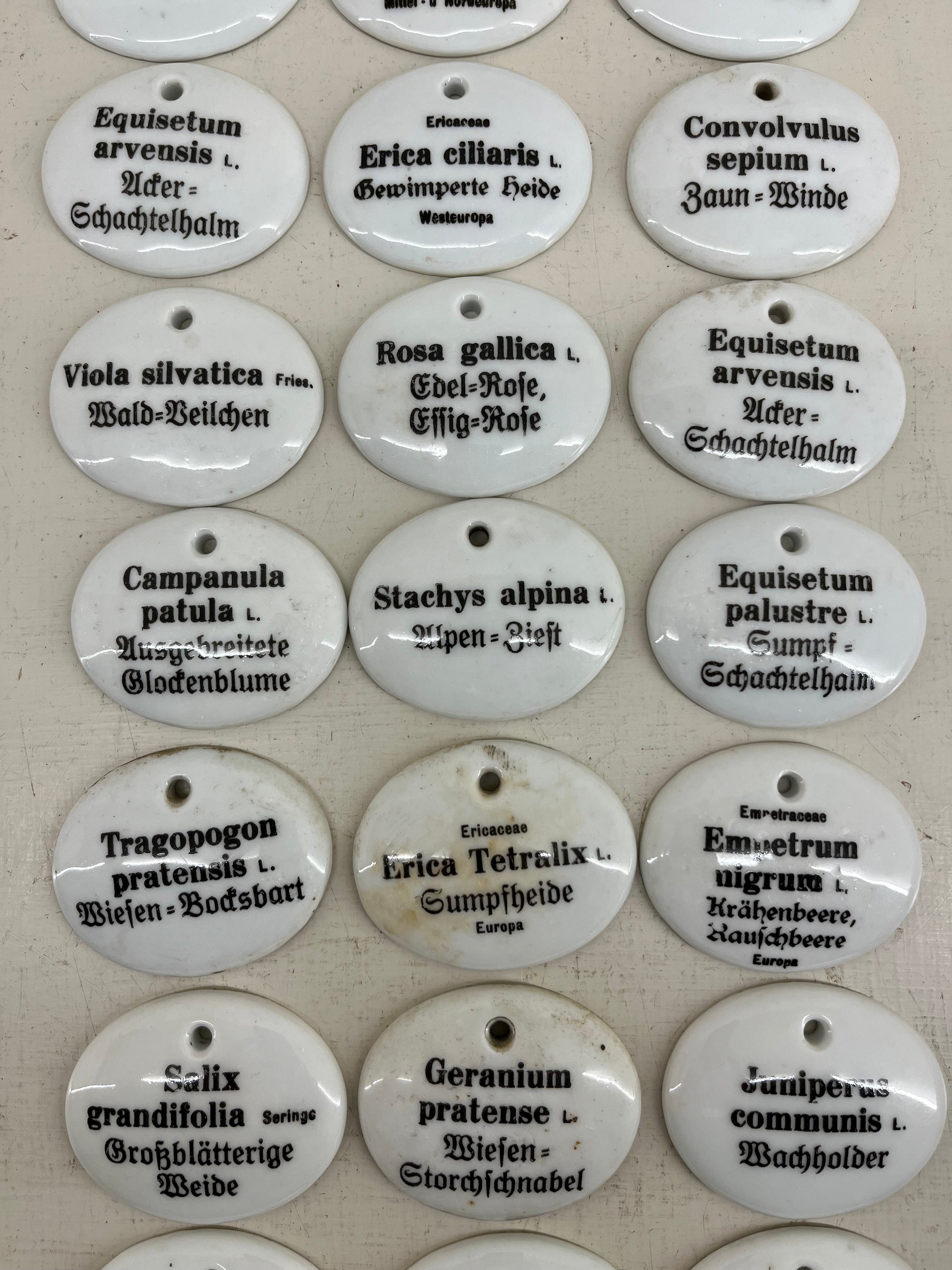 Ceramic Plant Labels