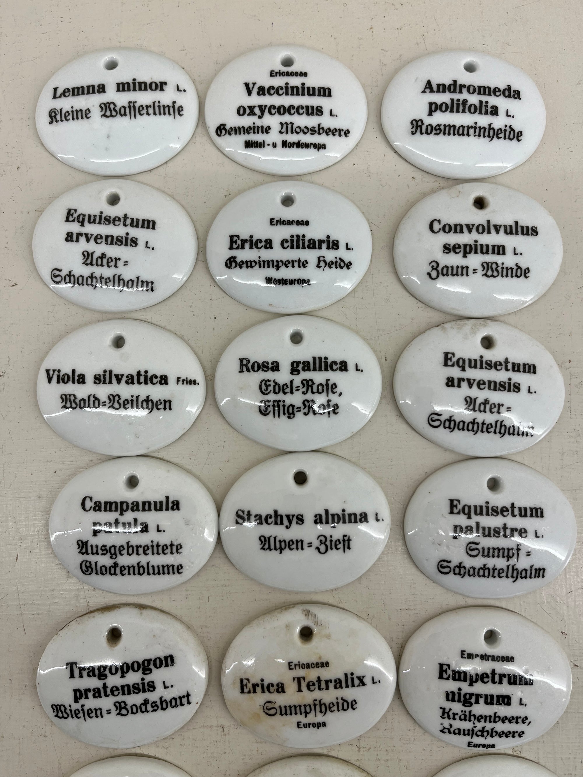 Ceramic Plant Labels