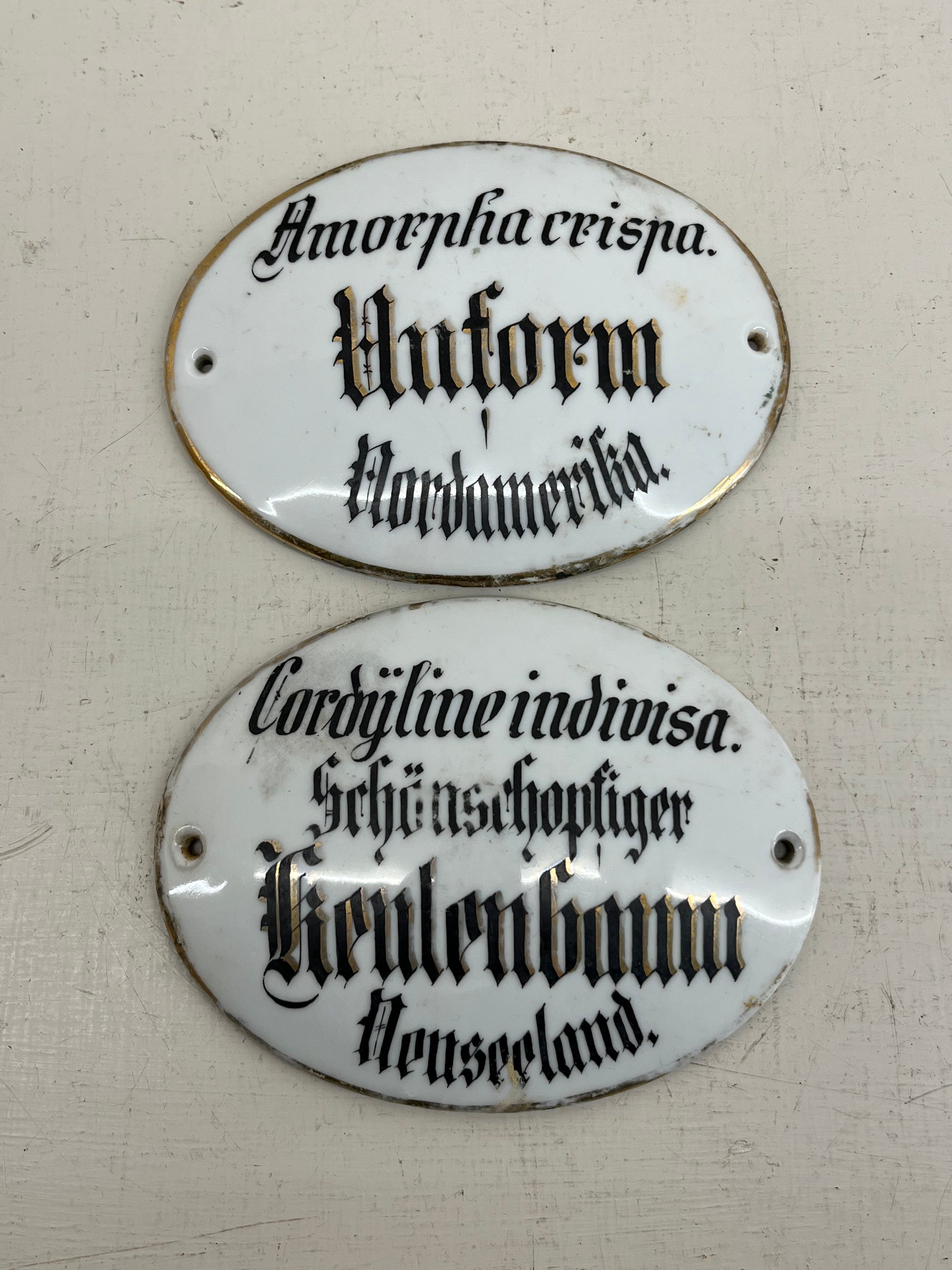 Large Ceramic Plant Labels
