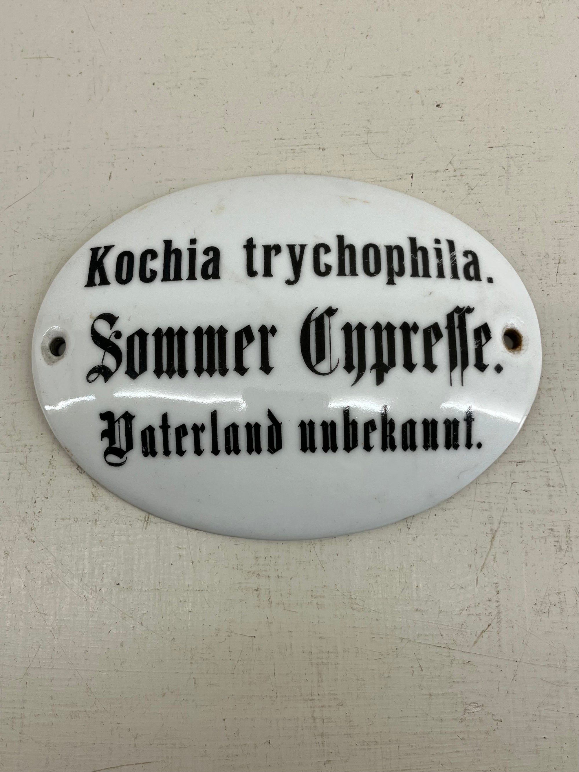 Large Ceramic Plant Label