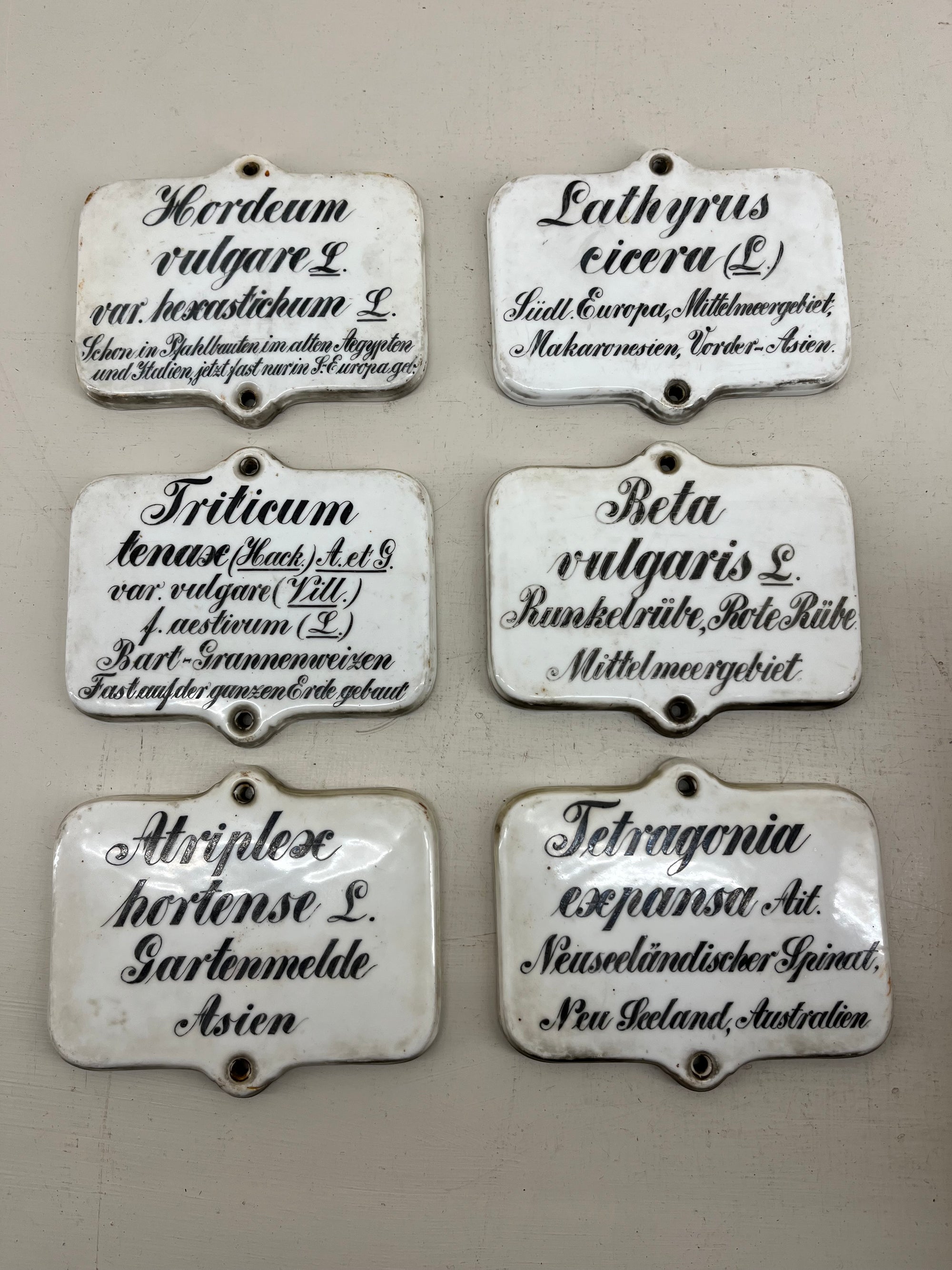 Large Ceramic Plant Labels
