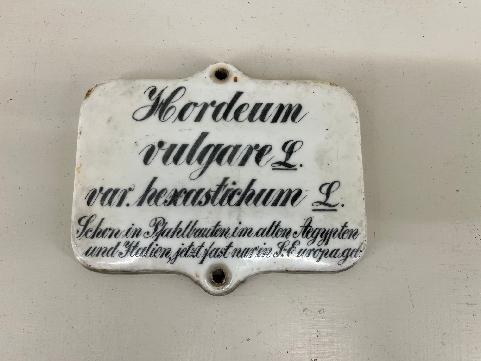 Large Ceramic Plant Labels
