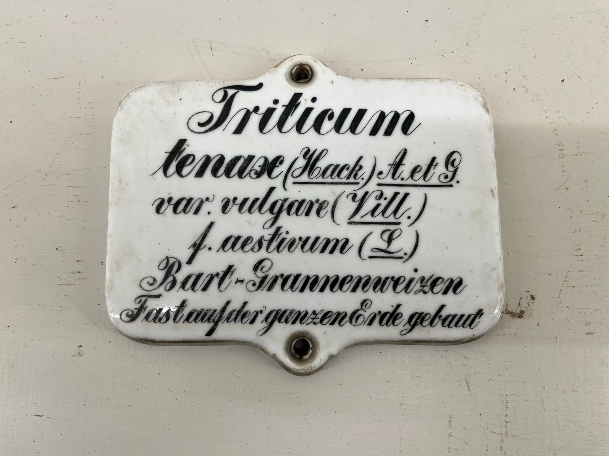 Large Ceramic Plant Labels