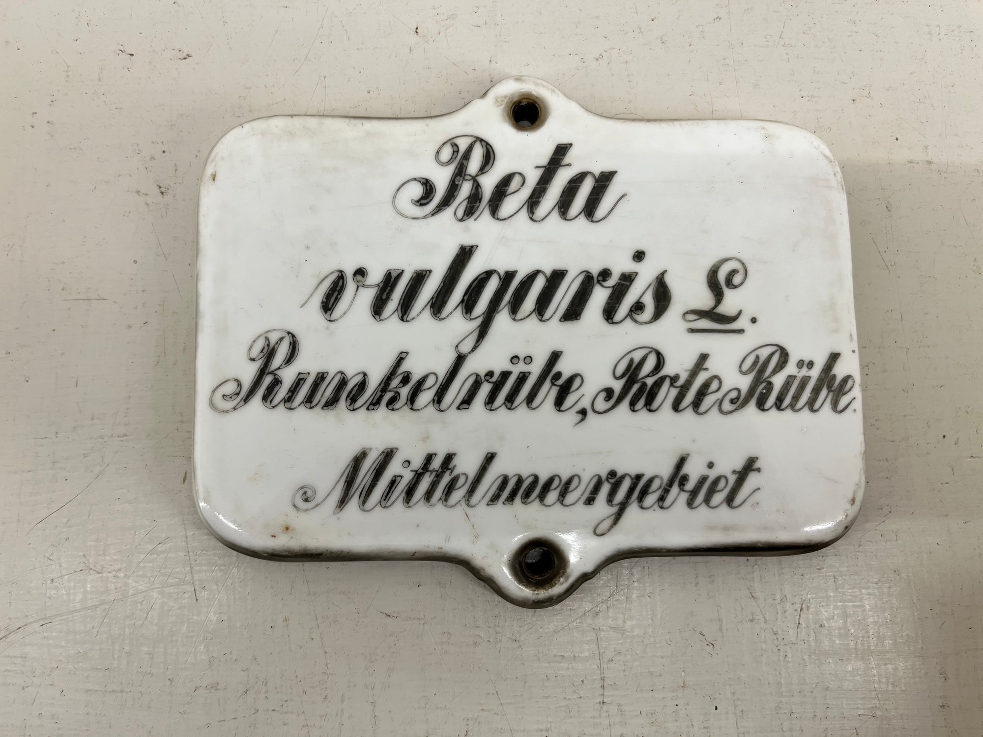 Large Ceramic Plant Labels