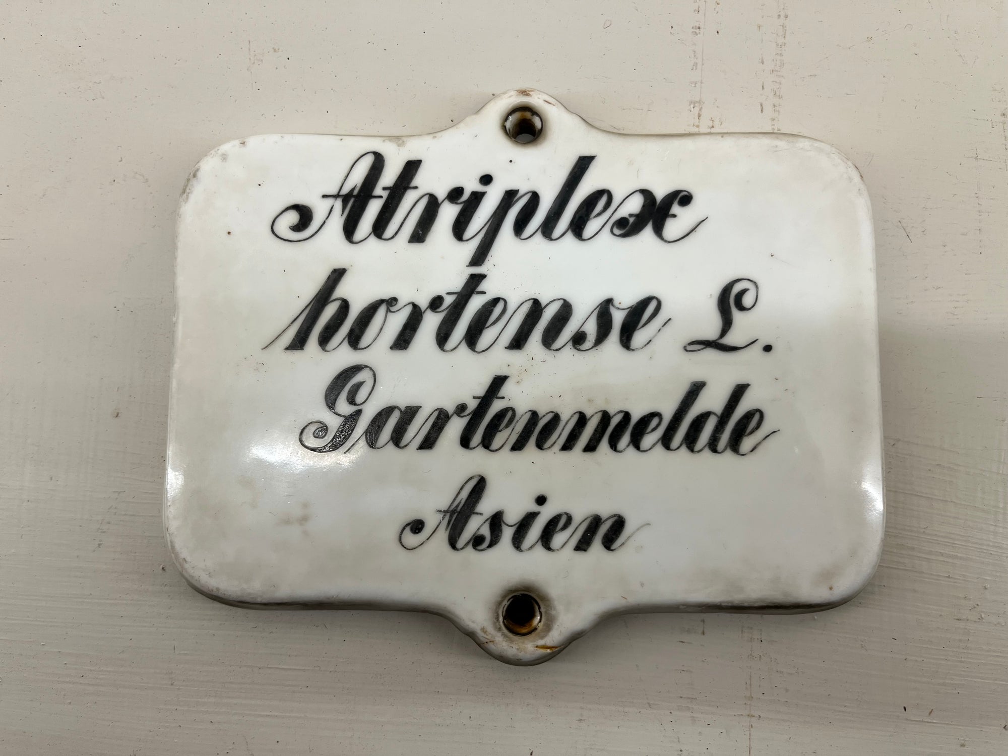 Large Ceramic Plant Labels