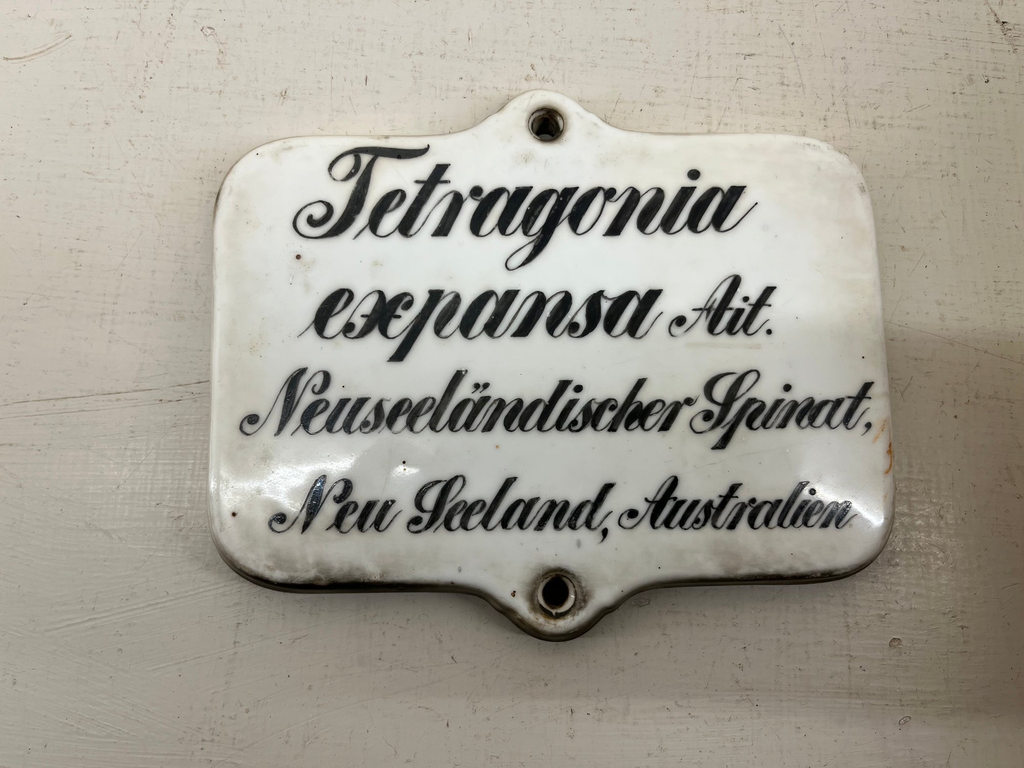 Large Ceramic Plant Labels