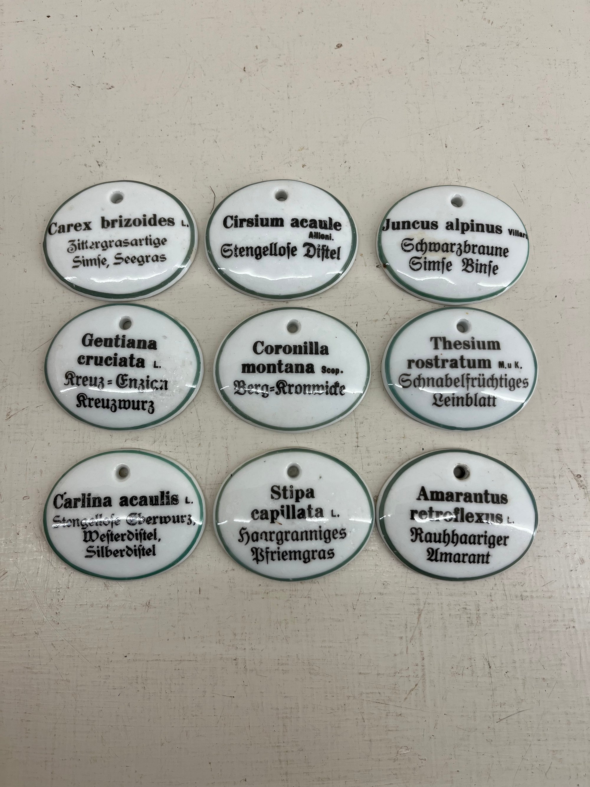 Ceramic Plant Labels