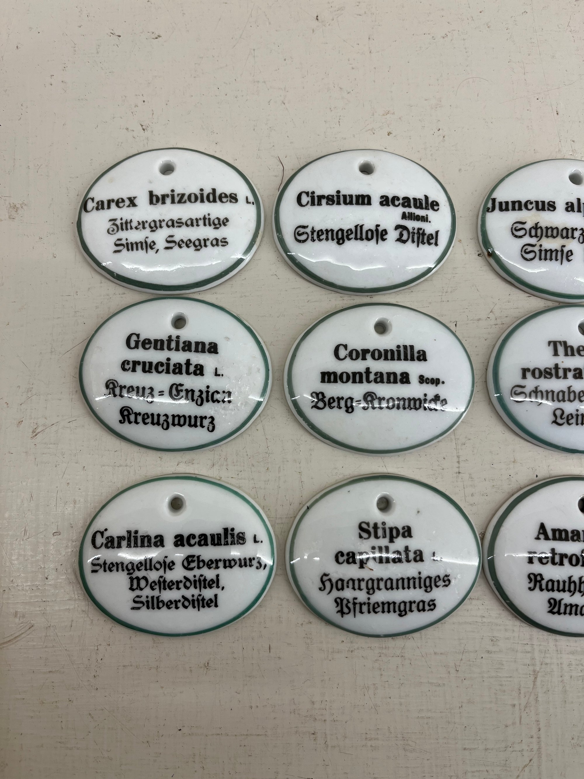 Ceramic Plant Labels