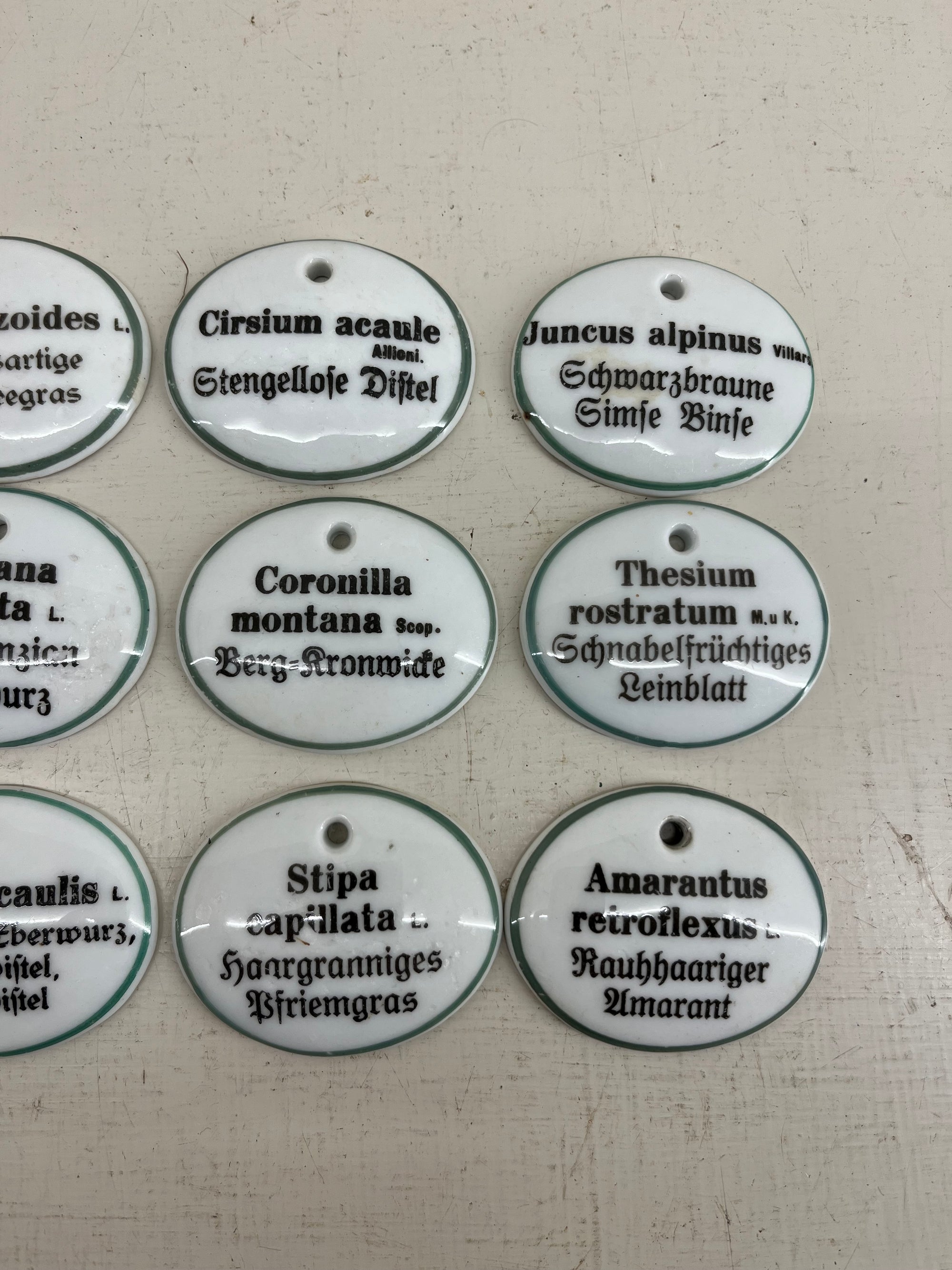 Ceramic Plant Labels