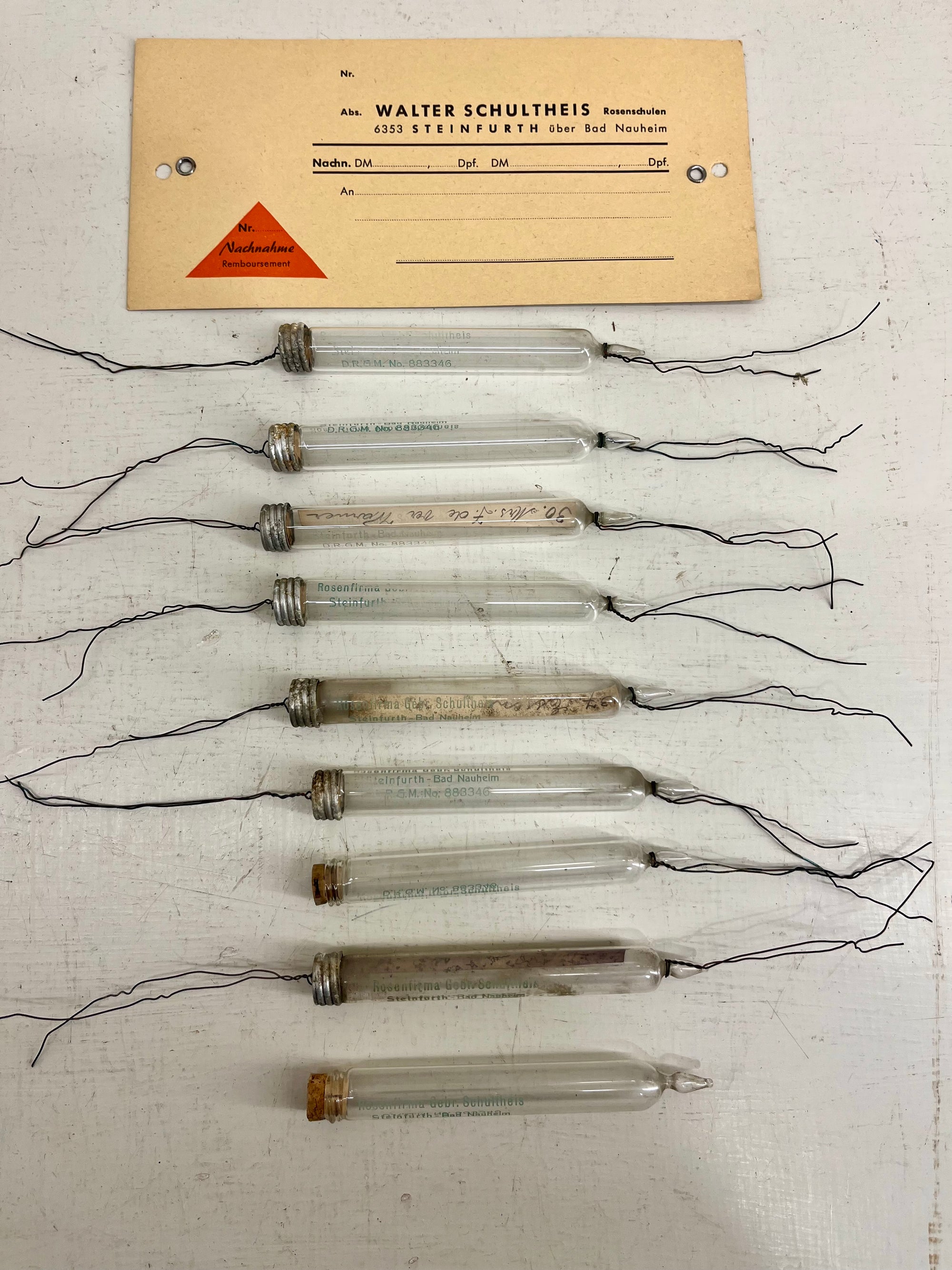 Glass Plant Labels