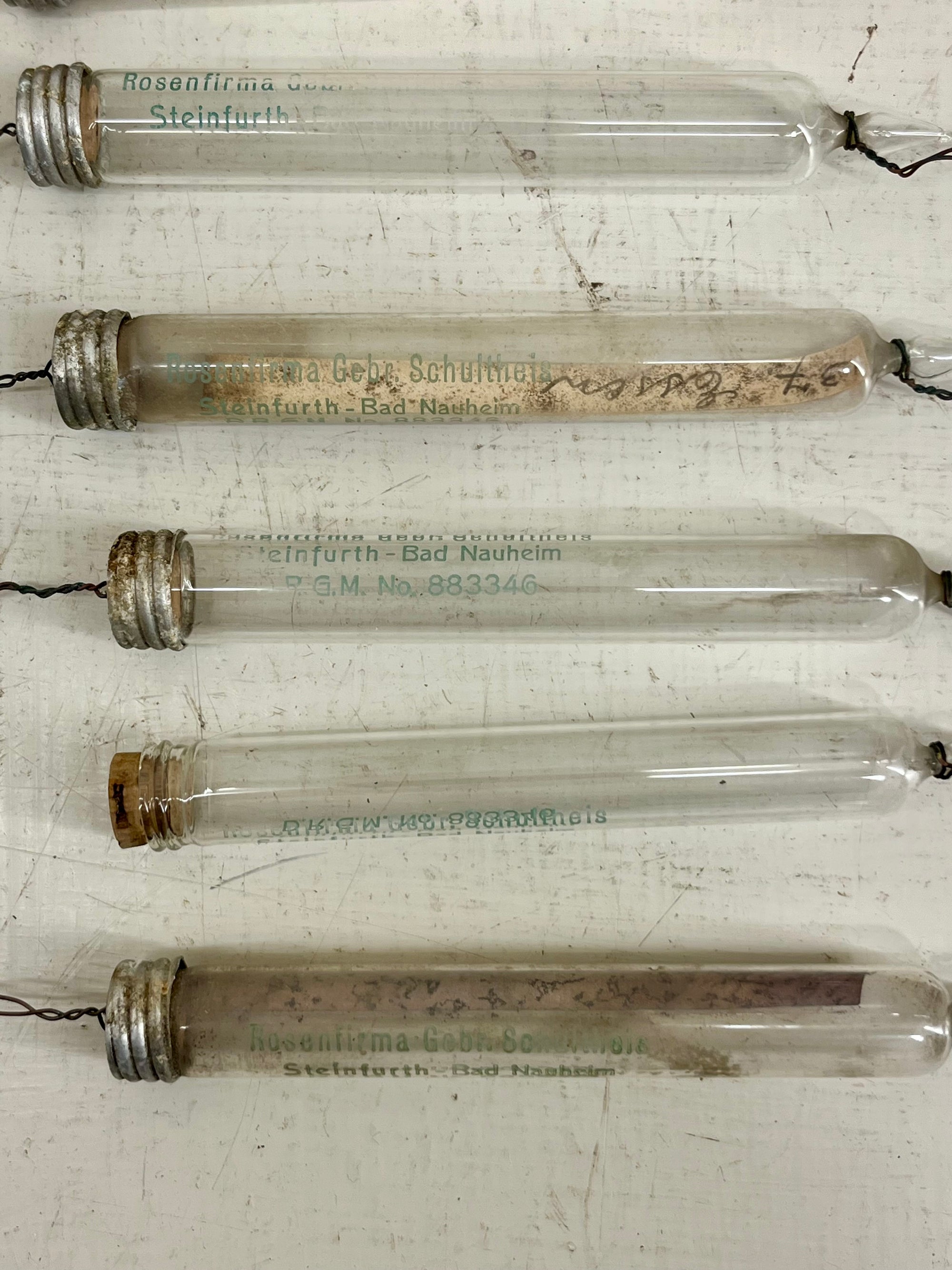 Glass Plant Labels