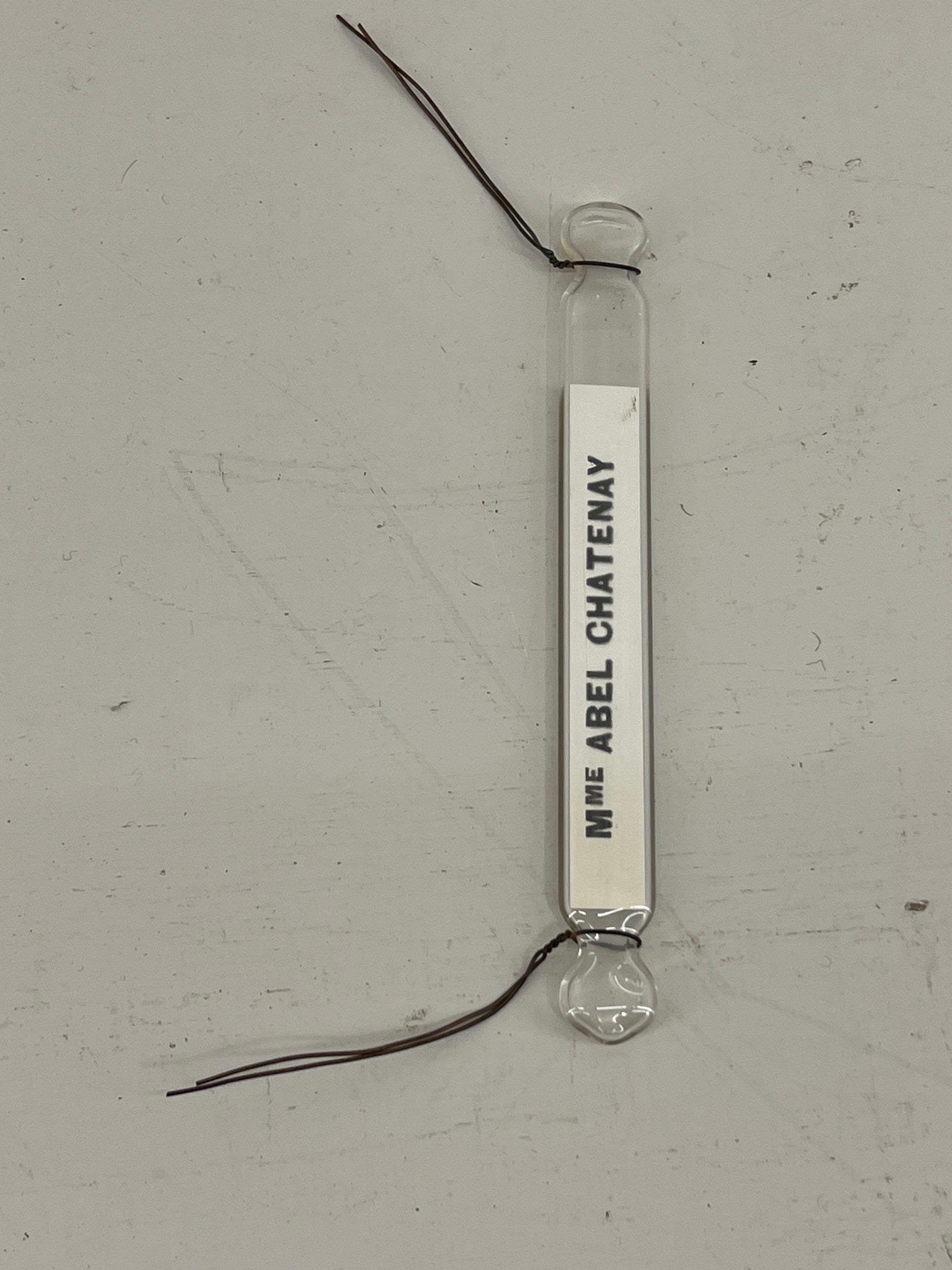 Glass Plant Labels