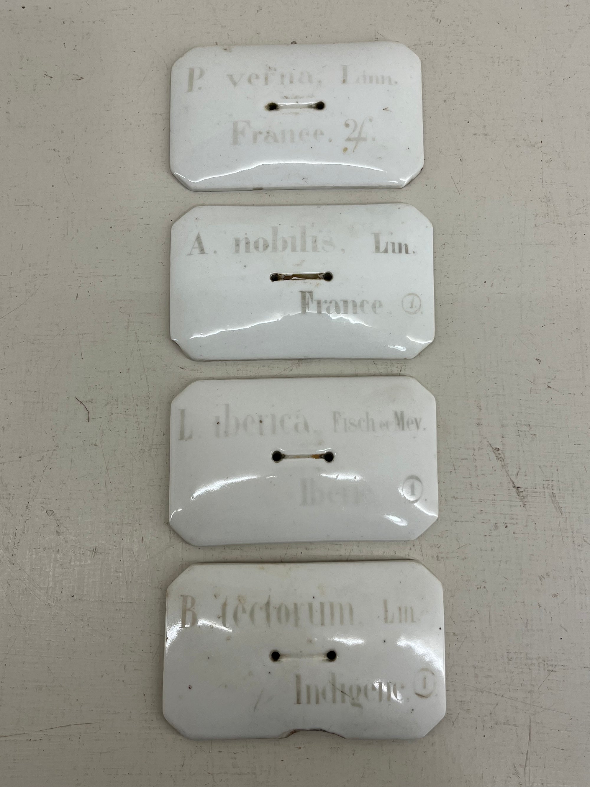 French Porcelain Plant Labels