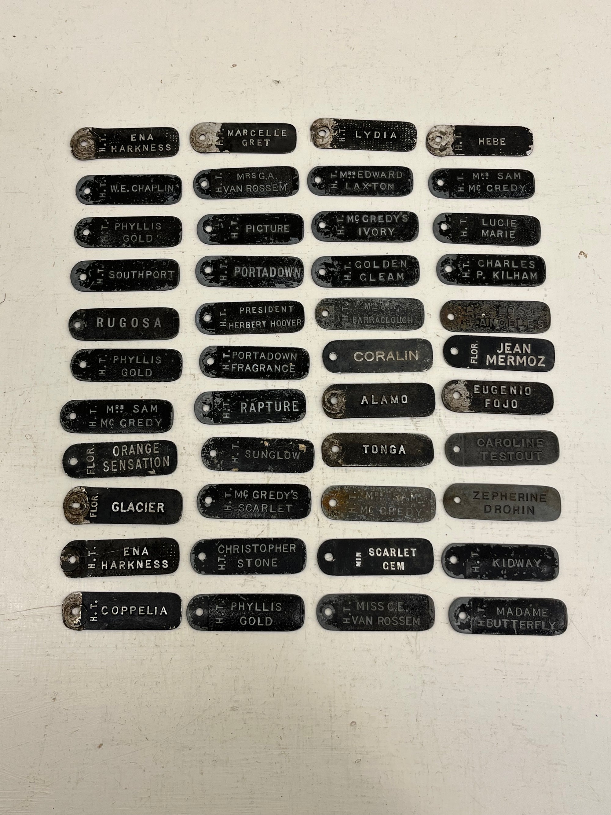 ACME Rose Labels