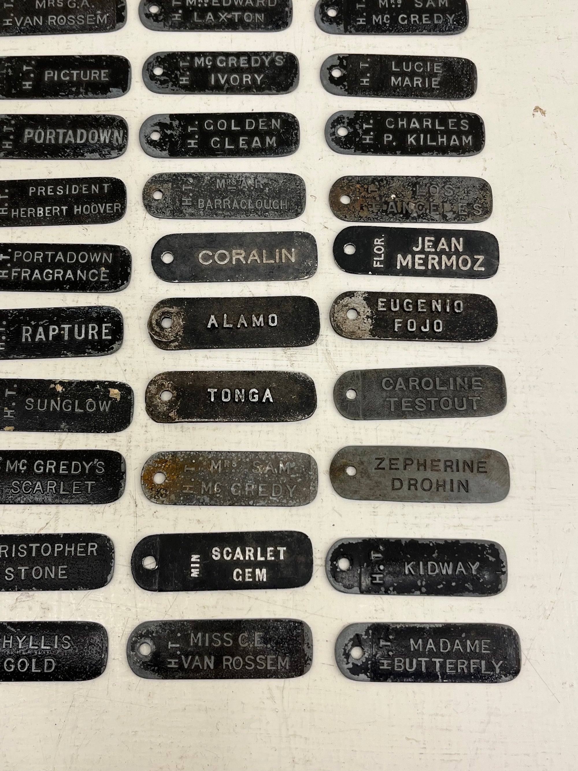ACME Rose Labels