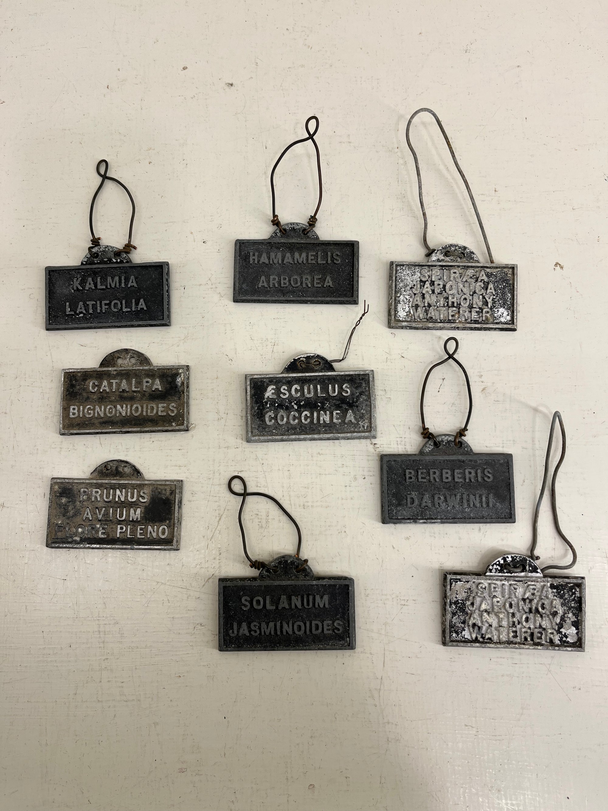 Hanging Shrub Labels