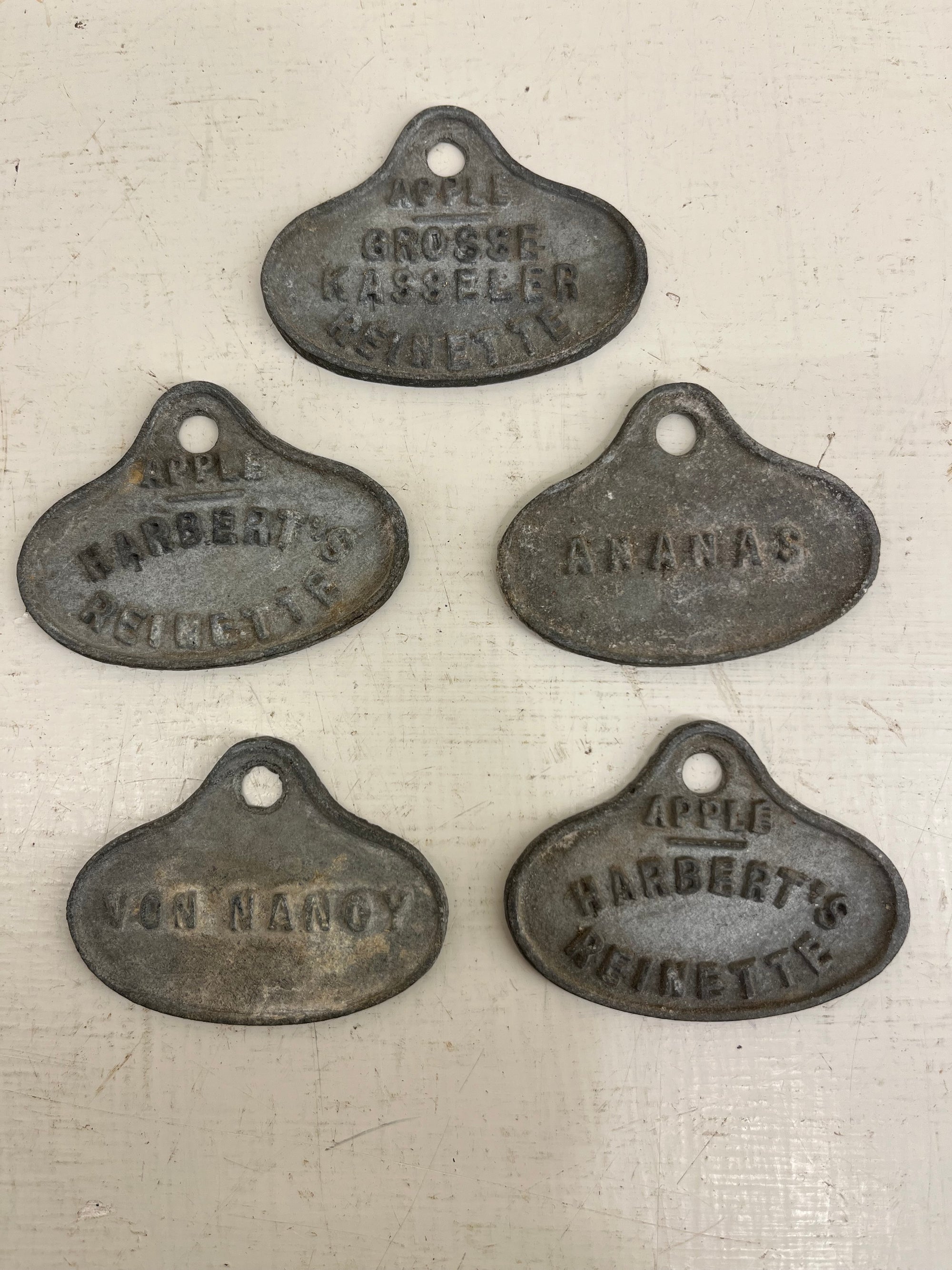 Fruit  Labels
