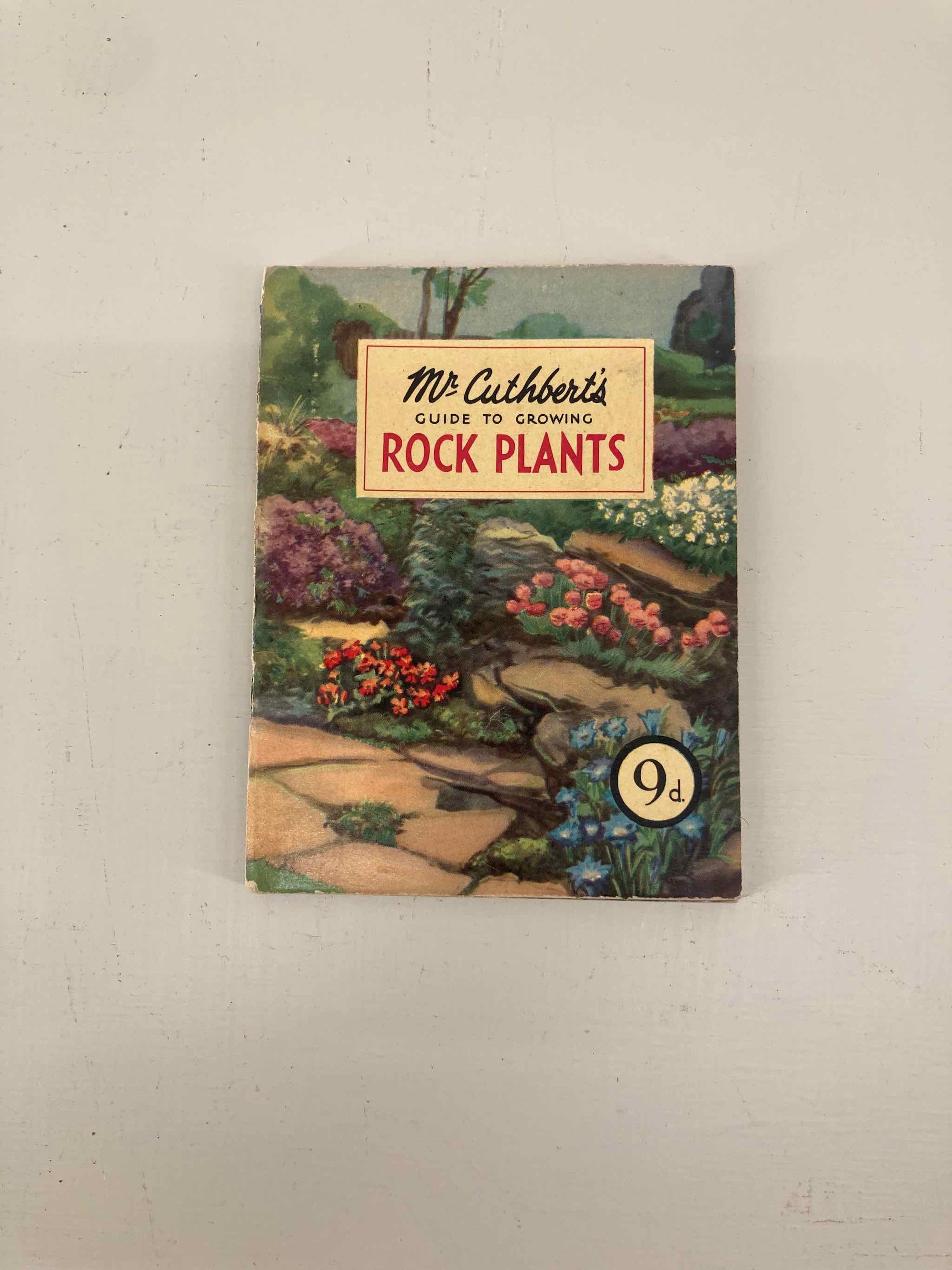 Mr Cuthberts Rock Plants Guide