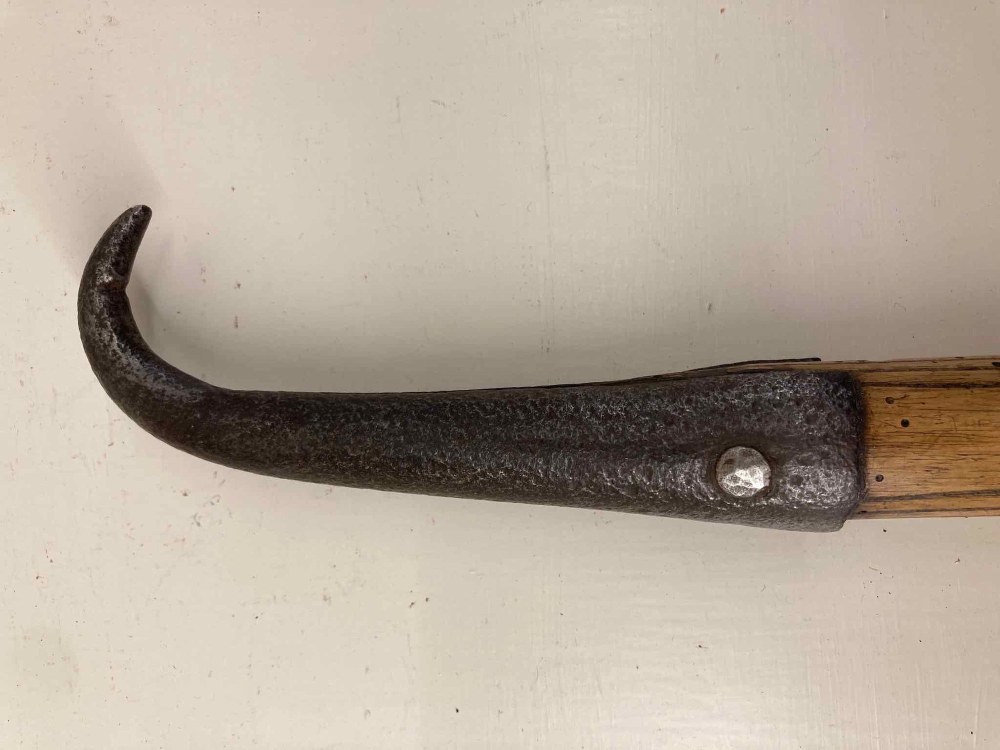 Griffin Rabbit Spade