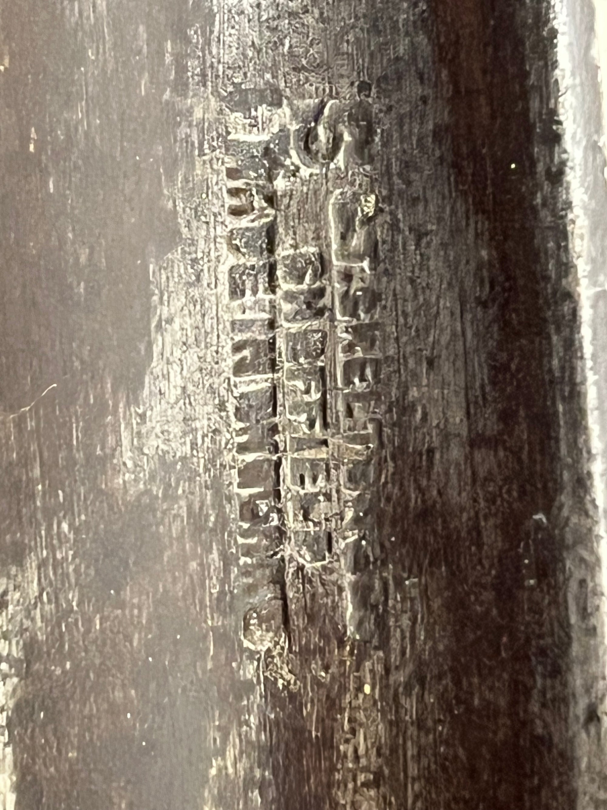 Skelton Fern Trowel