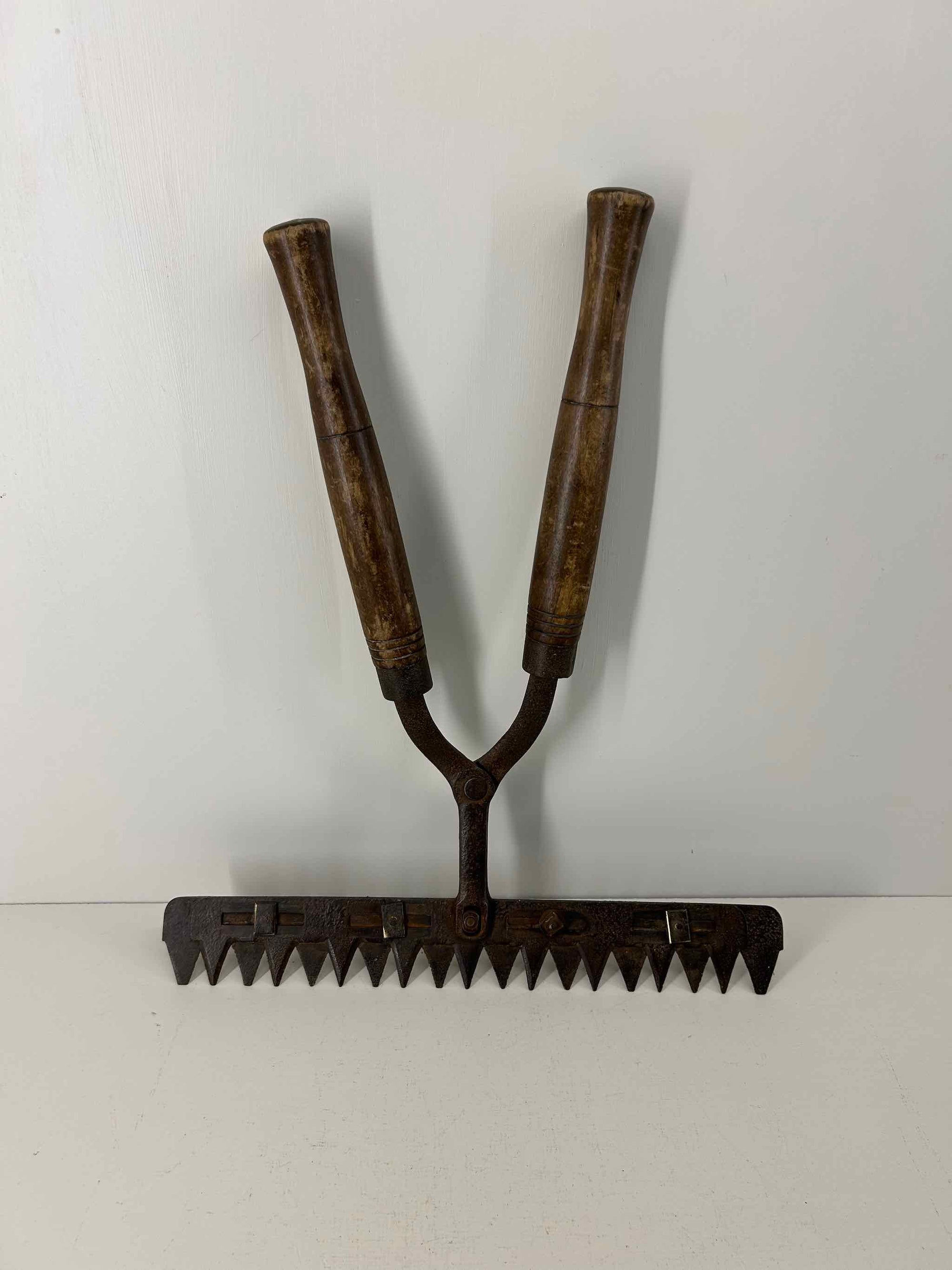 Vintage Multi Cut Hedge Trimmer