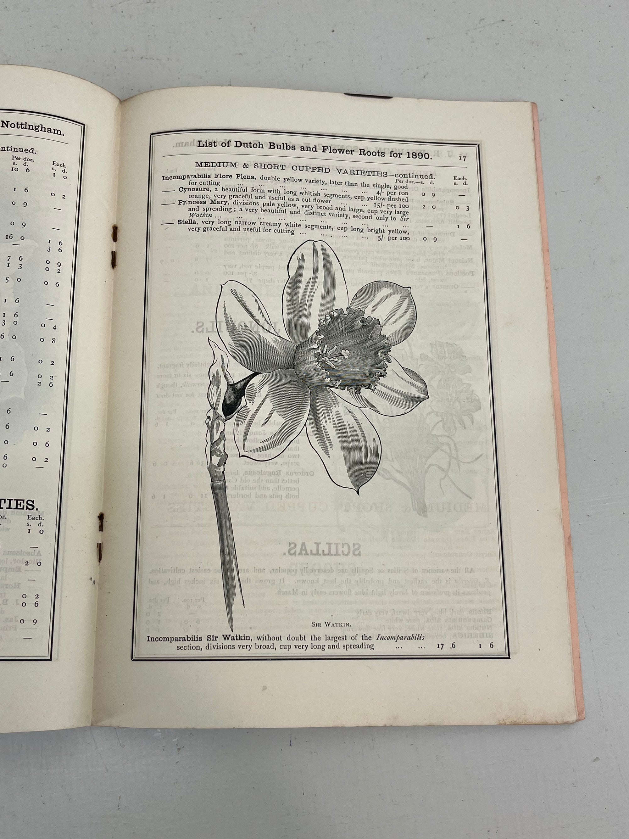 J R Pearson Nursery Catalogue, 1890