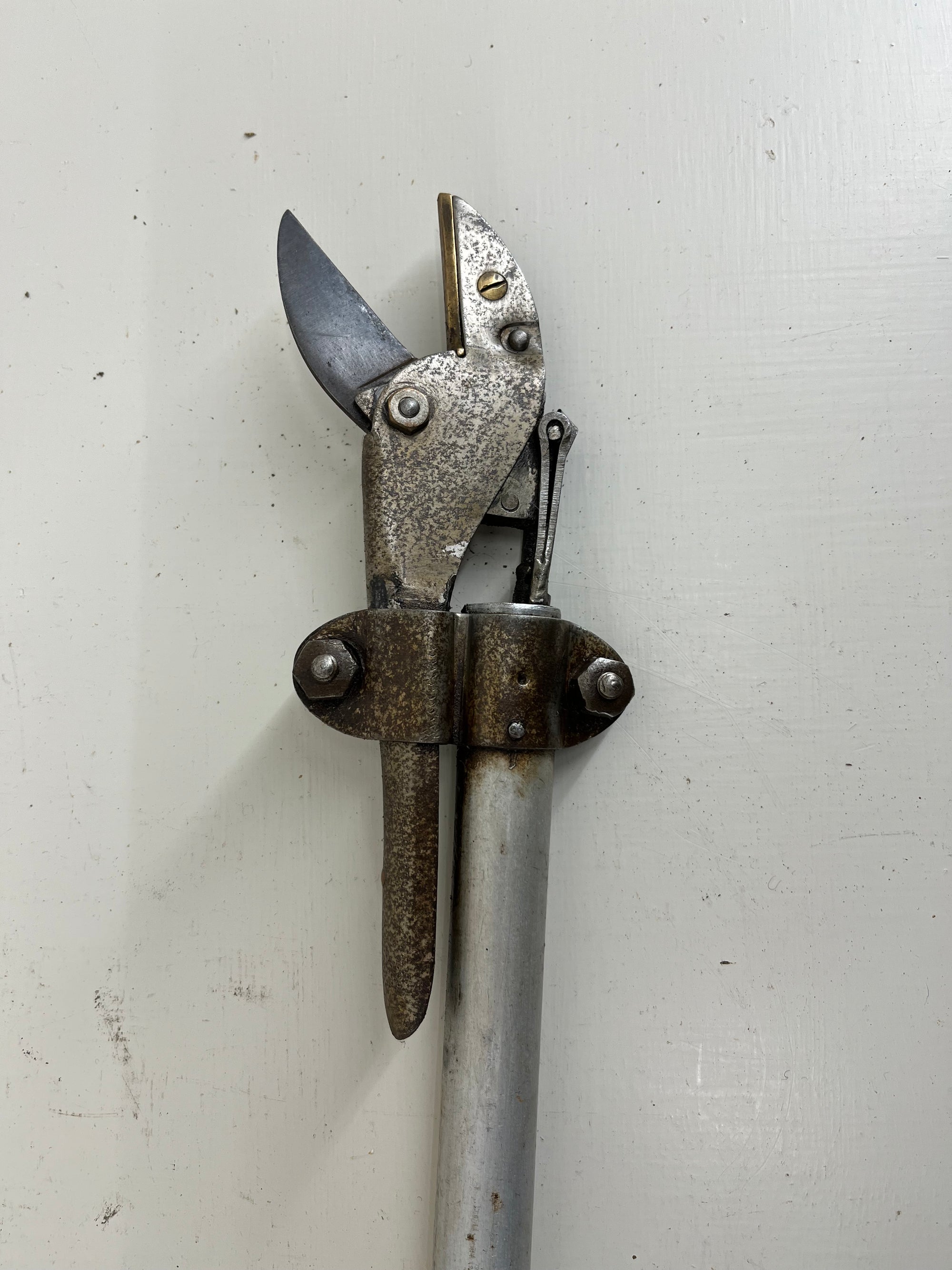 Rolcut Long Reach Pruner