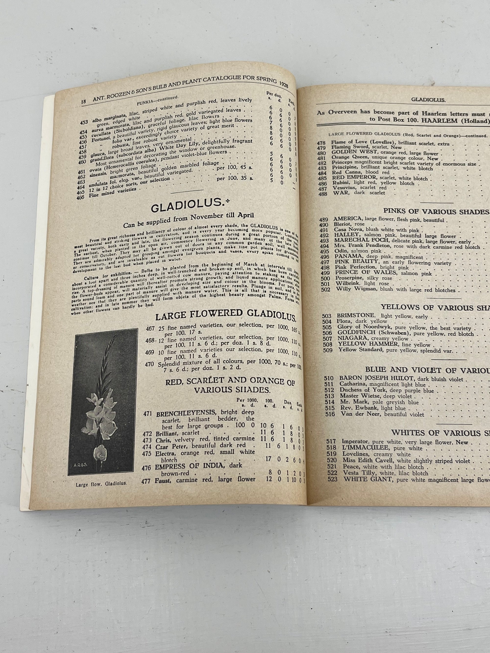 Ant Roozen Bulb Catalogue, 1928