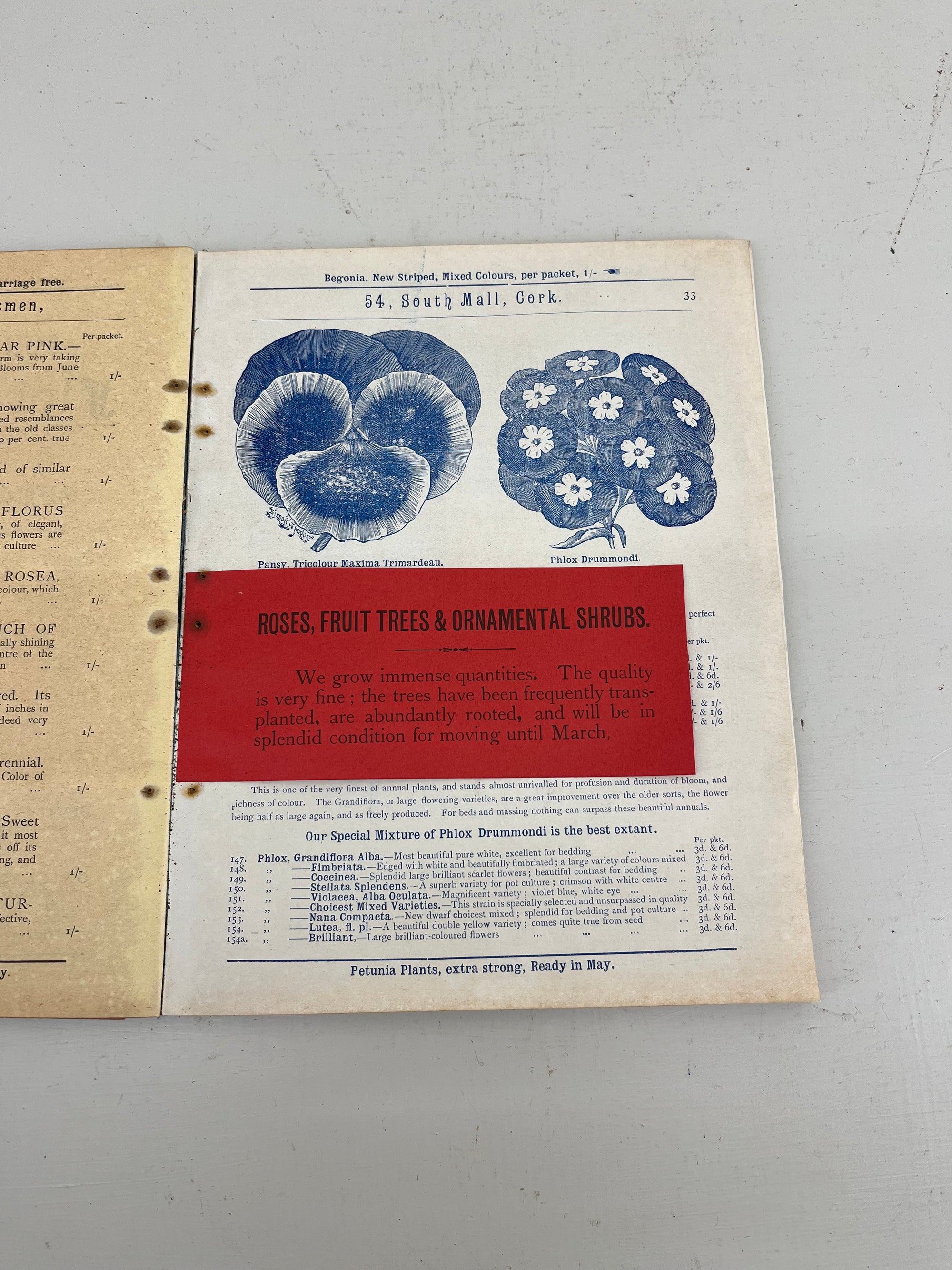 John Atkins Seed Catalogue, 1907