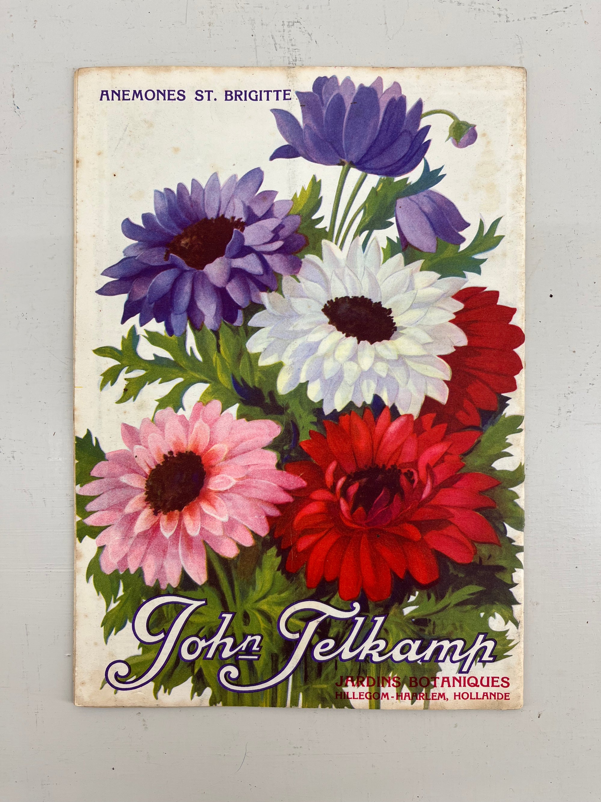 John Telkamp Bulb Catalogue