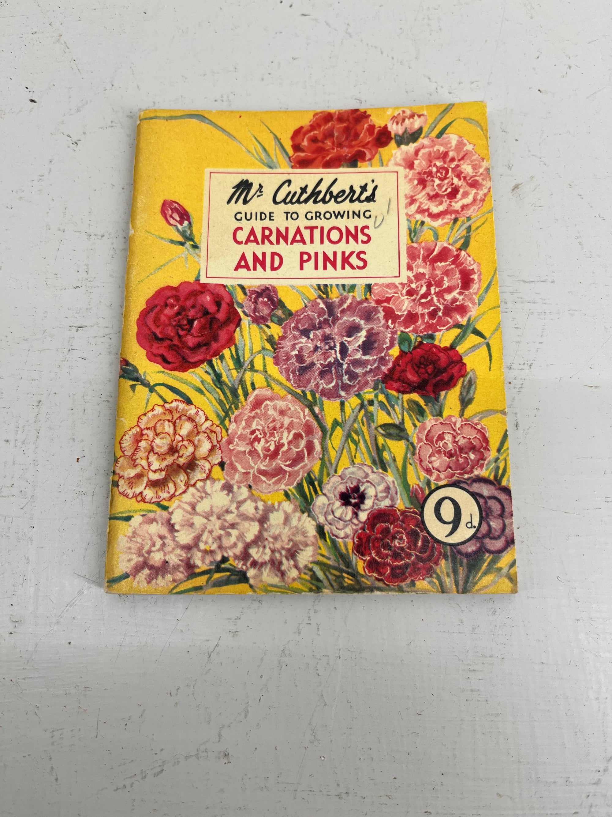 Mr Cuthberts Carnations and Pinks