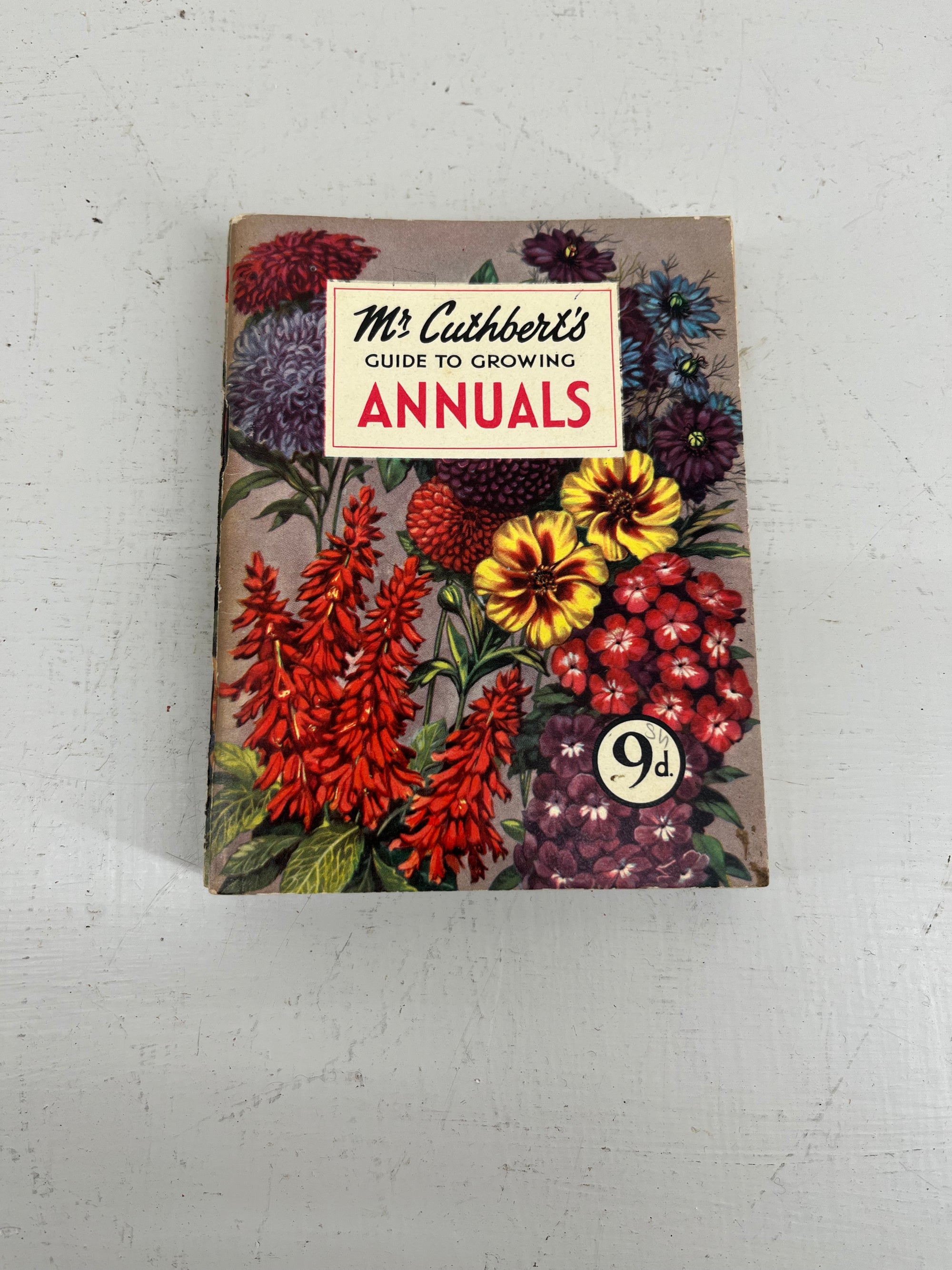 Mr Cuthberts Annuals